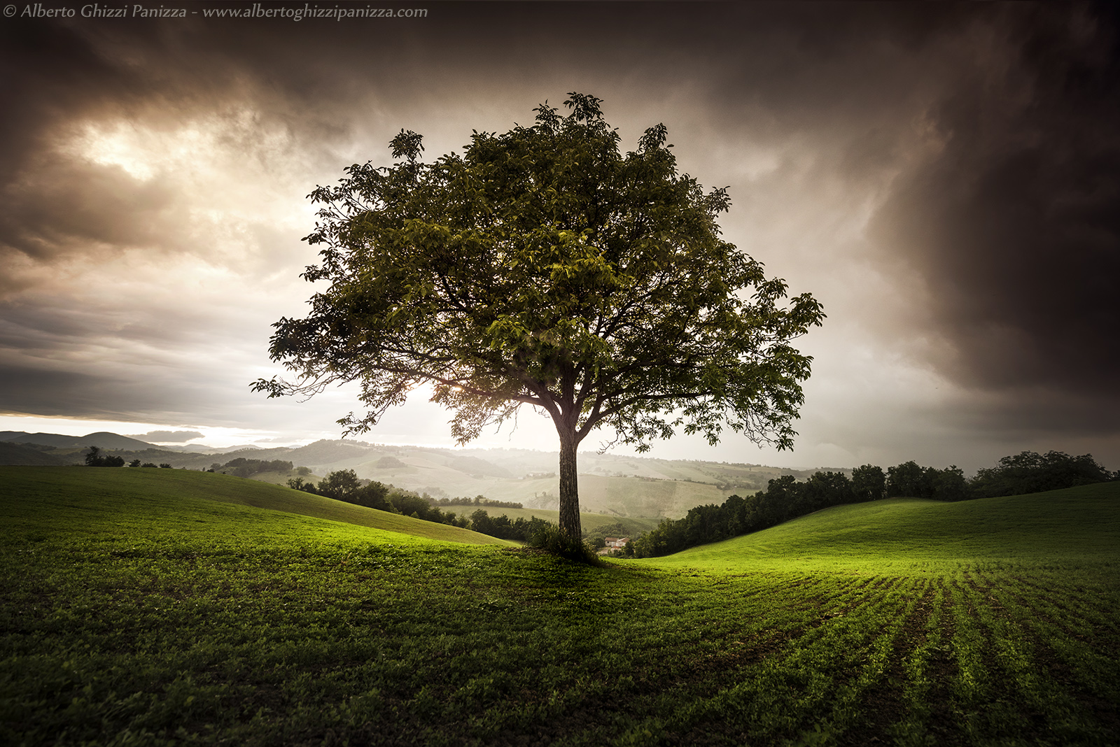 Temporale all'albero dei sogni