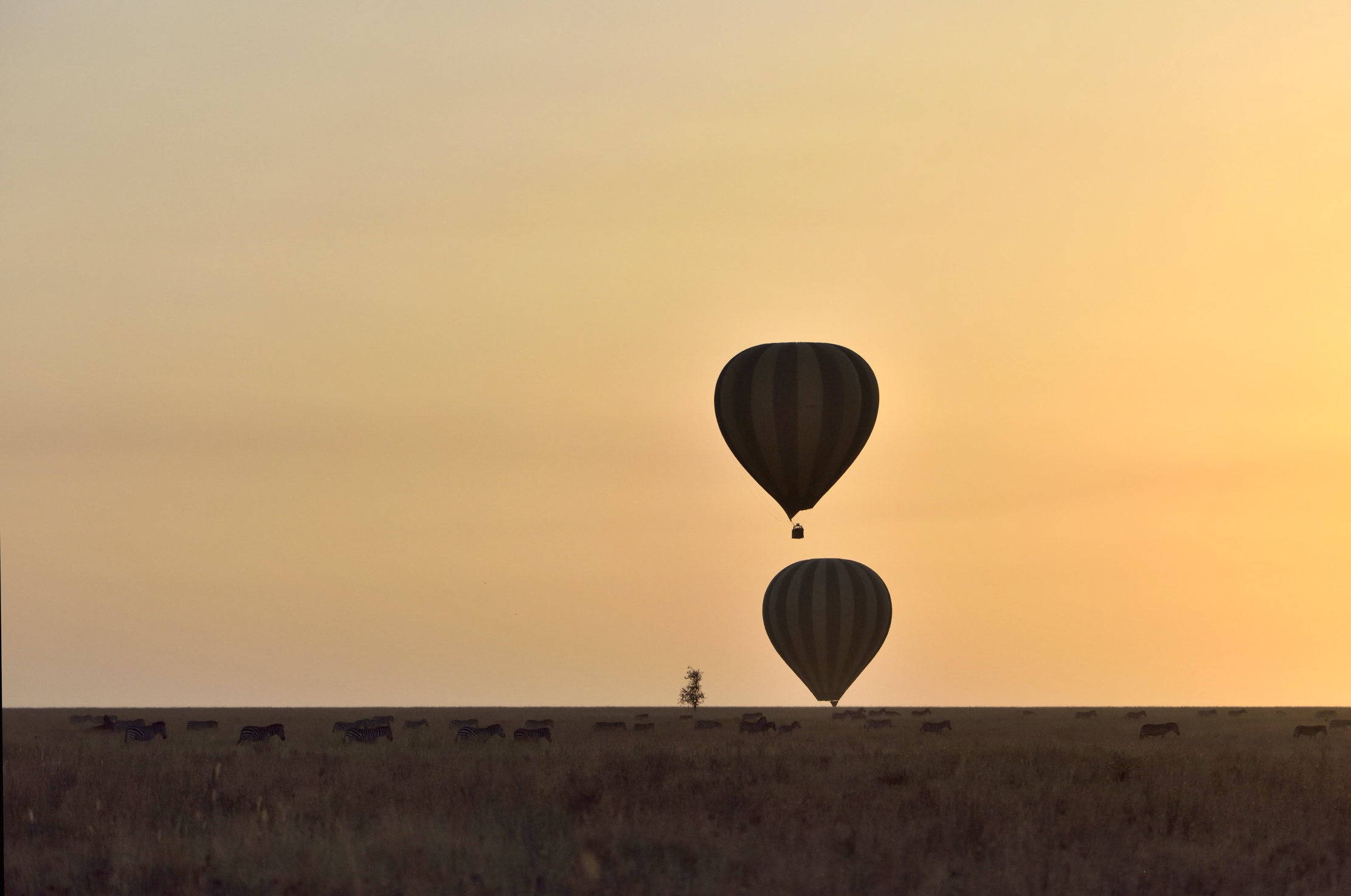 Tanzania 2015 - Alba