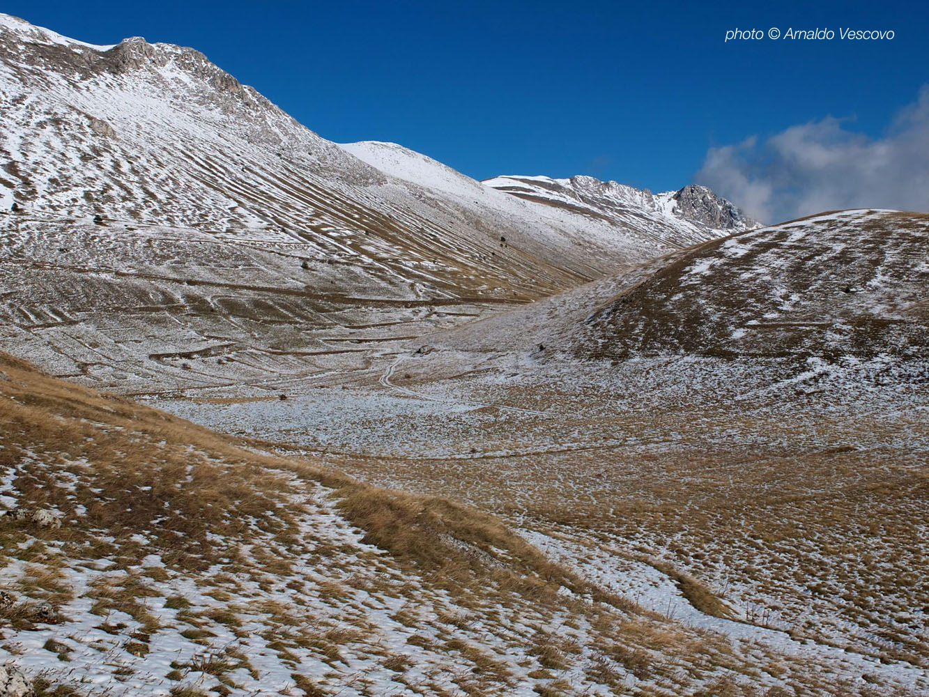 Landscape on the south slope of Mount Bolza