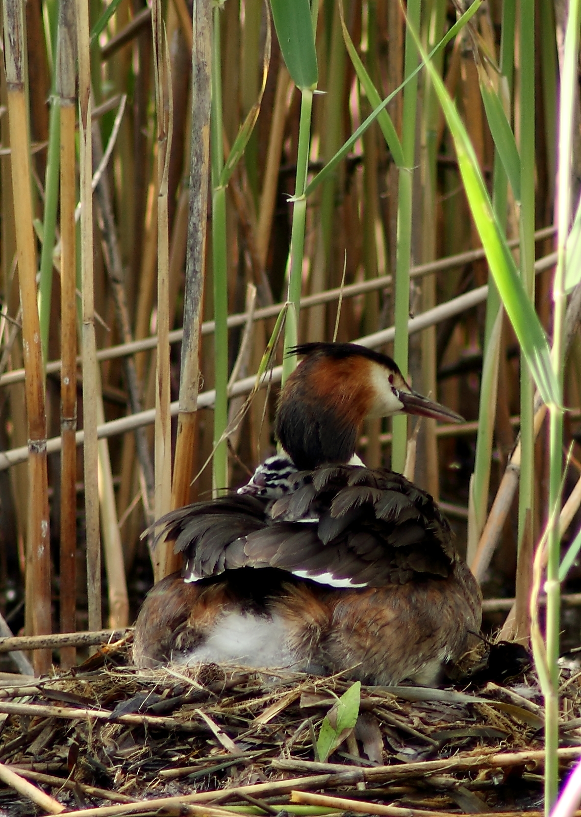amore è... guardare insieme nella stessa direzione :P