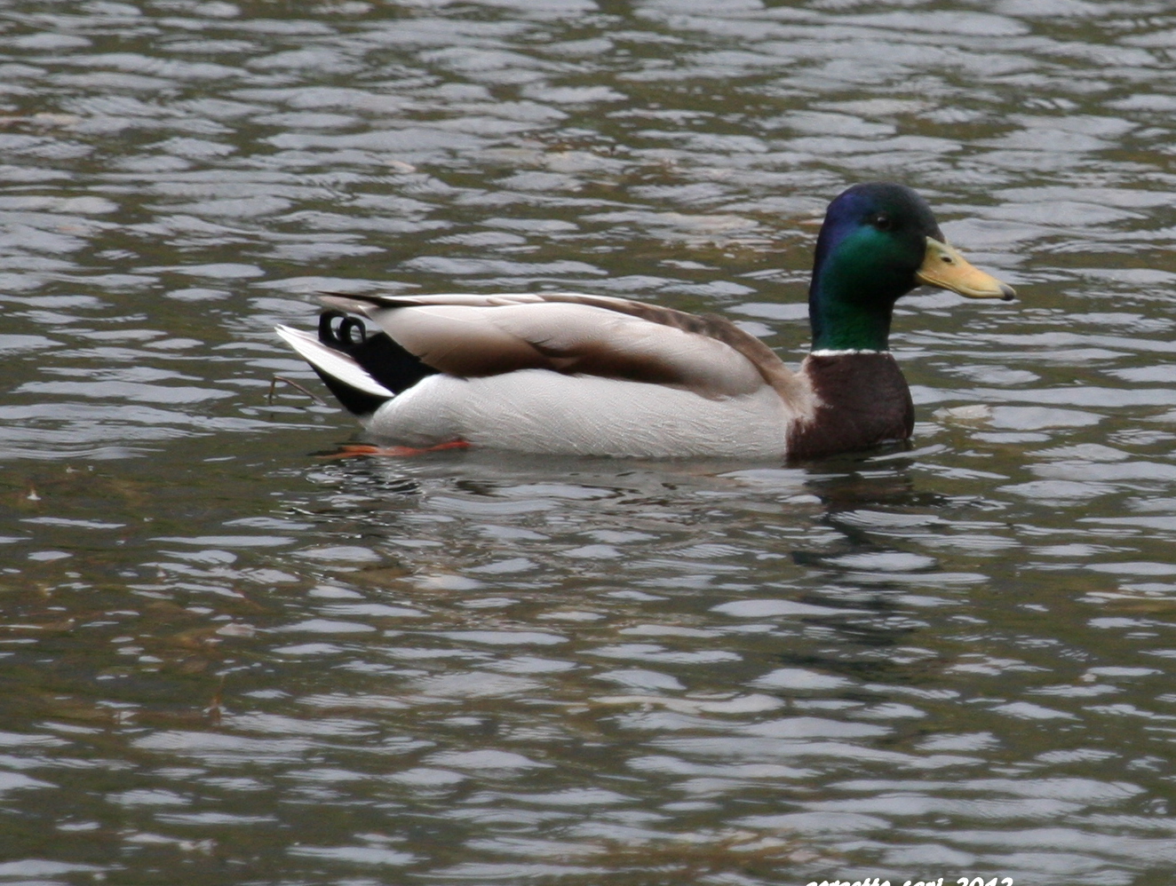 oooo.. ma che ti  fotografiii..