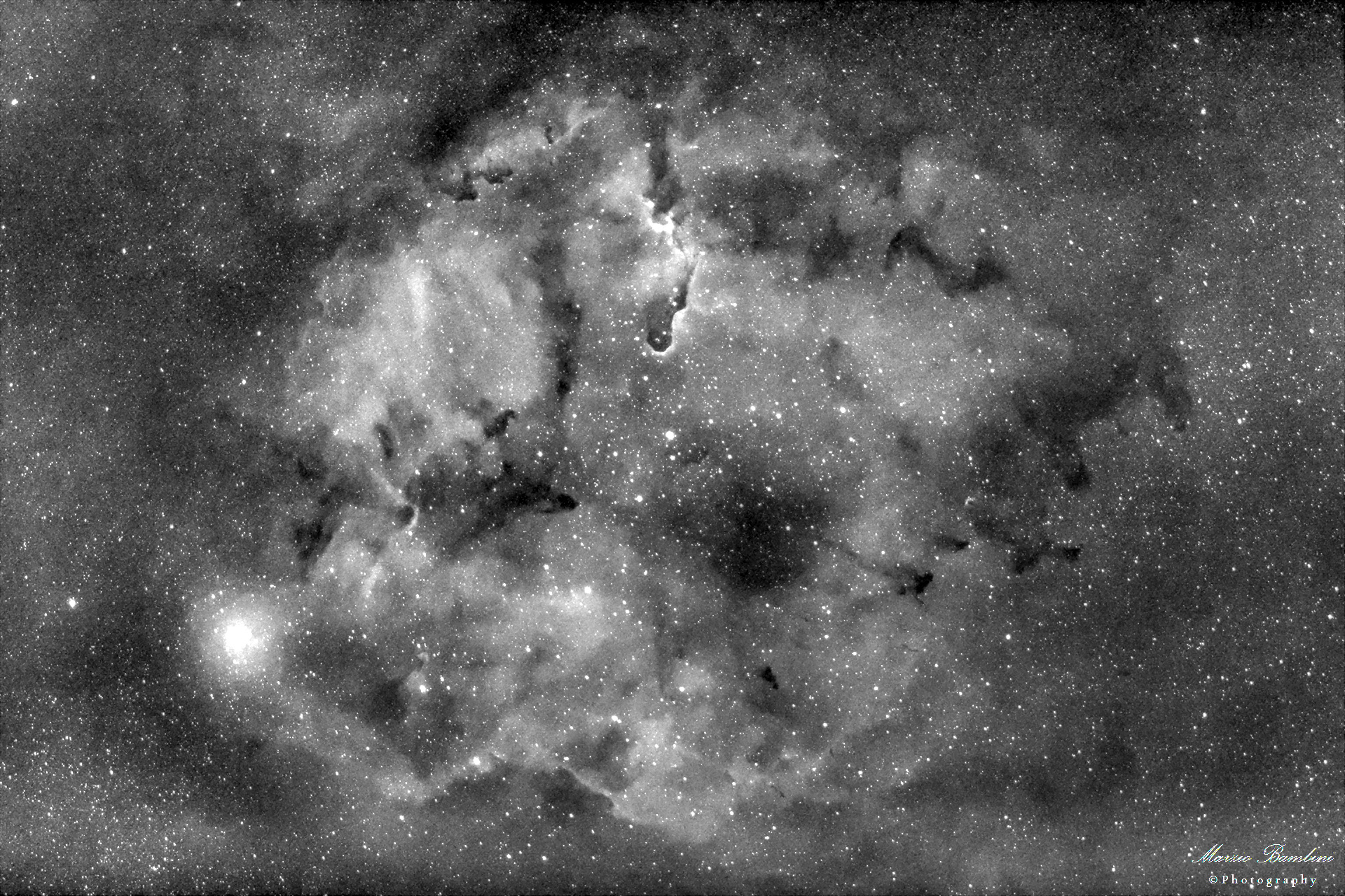 Elephant's trunk nebula IC 1396