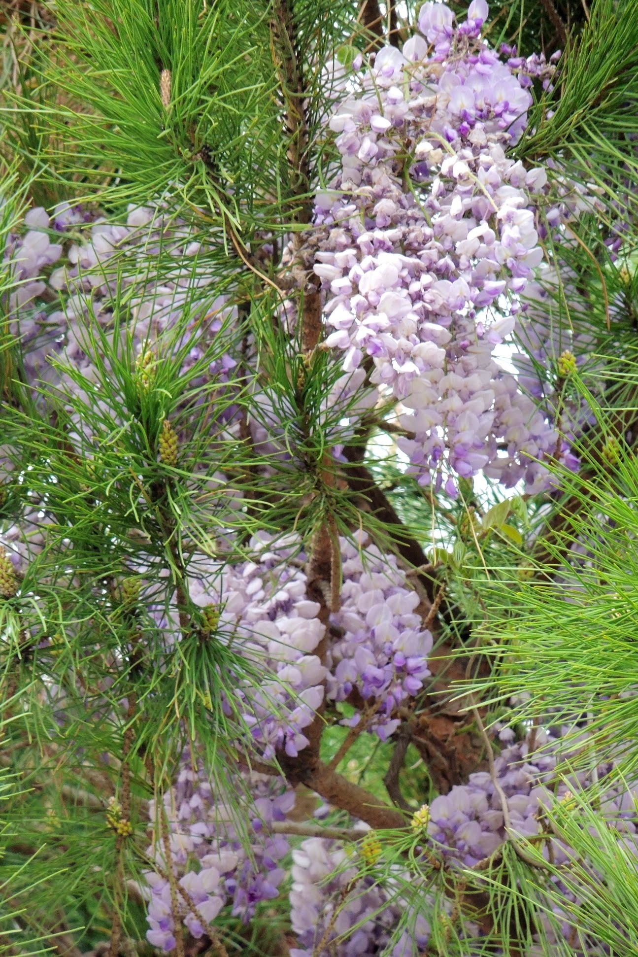 È facile mischiarsi