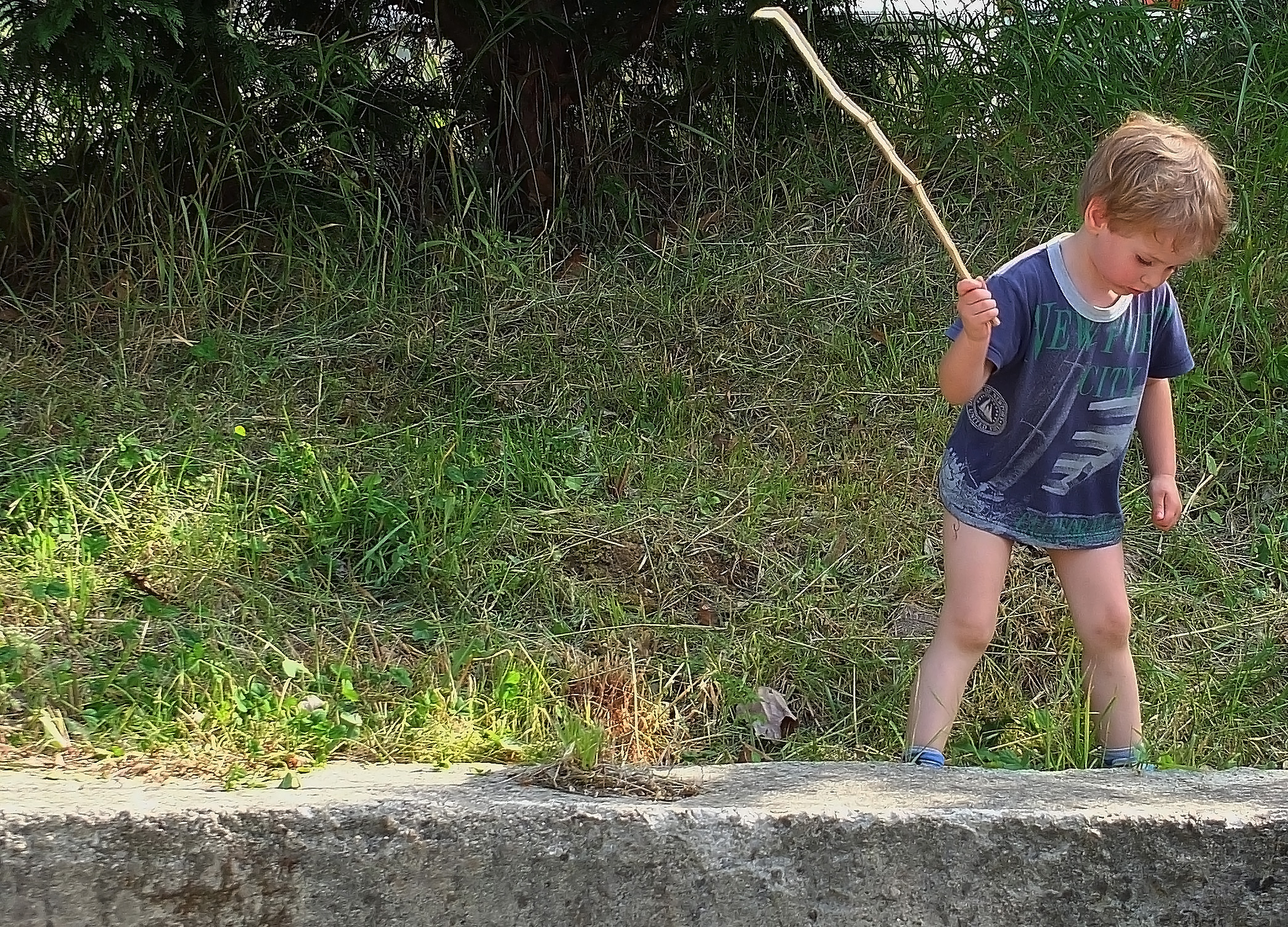 Chissa' cosa ha visto...