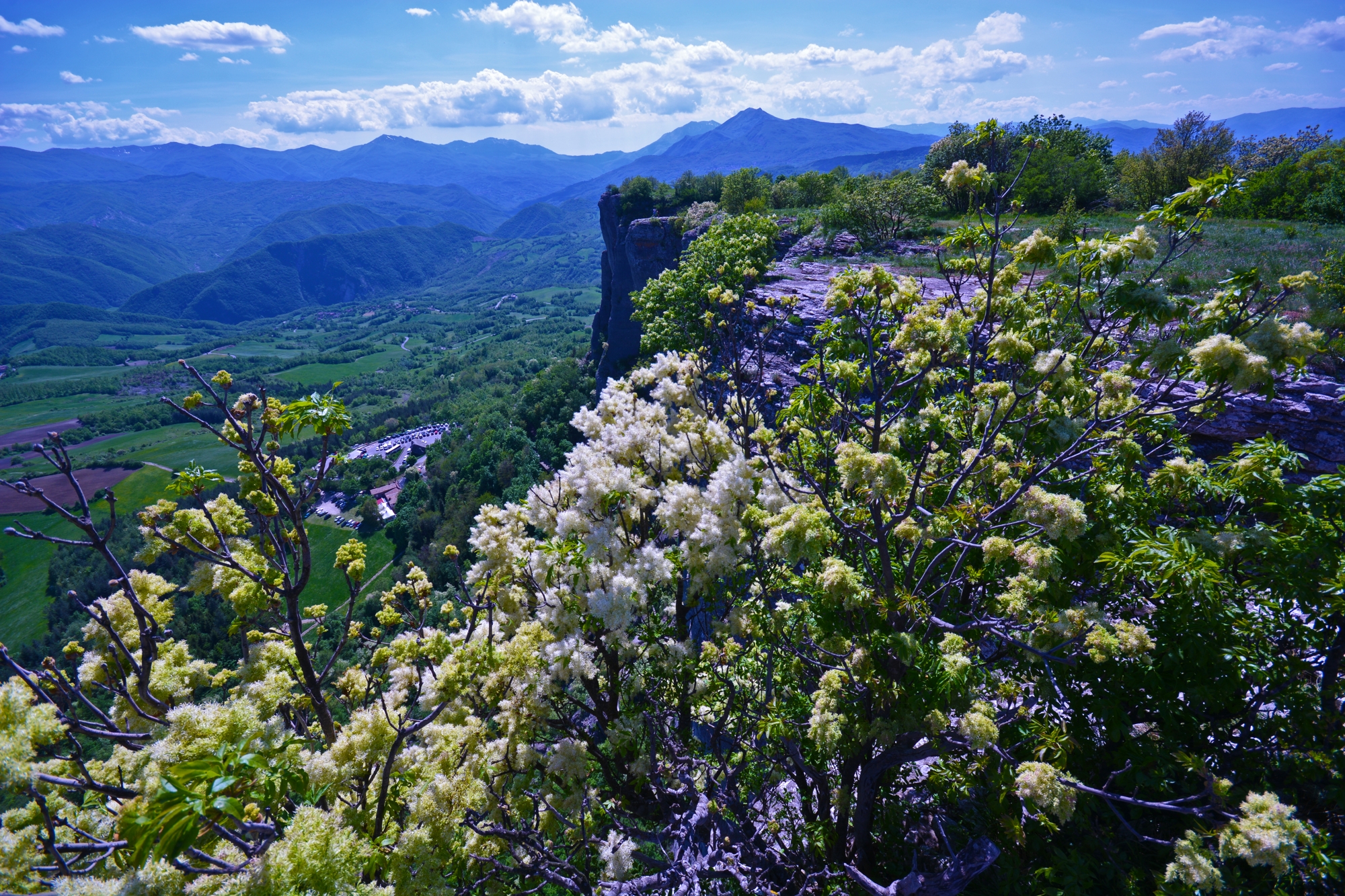 Fioritura sull'altopiano