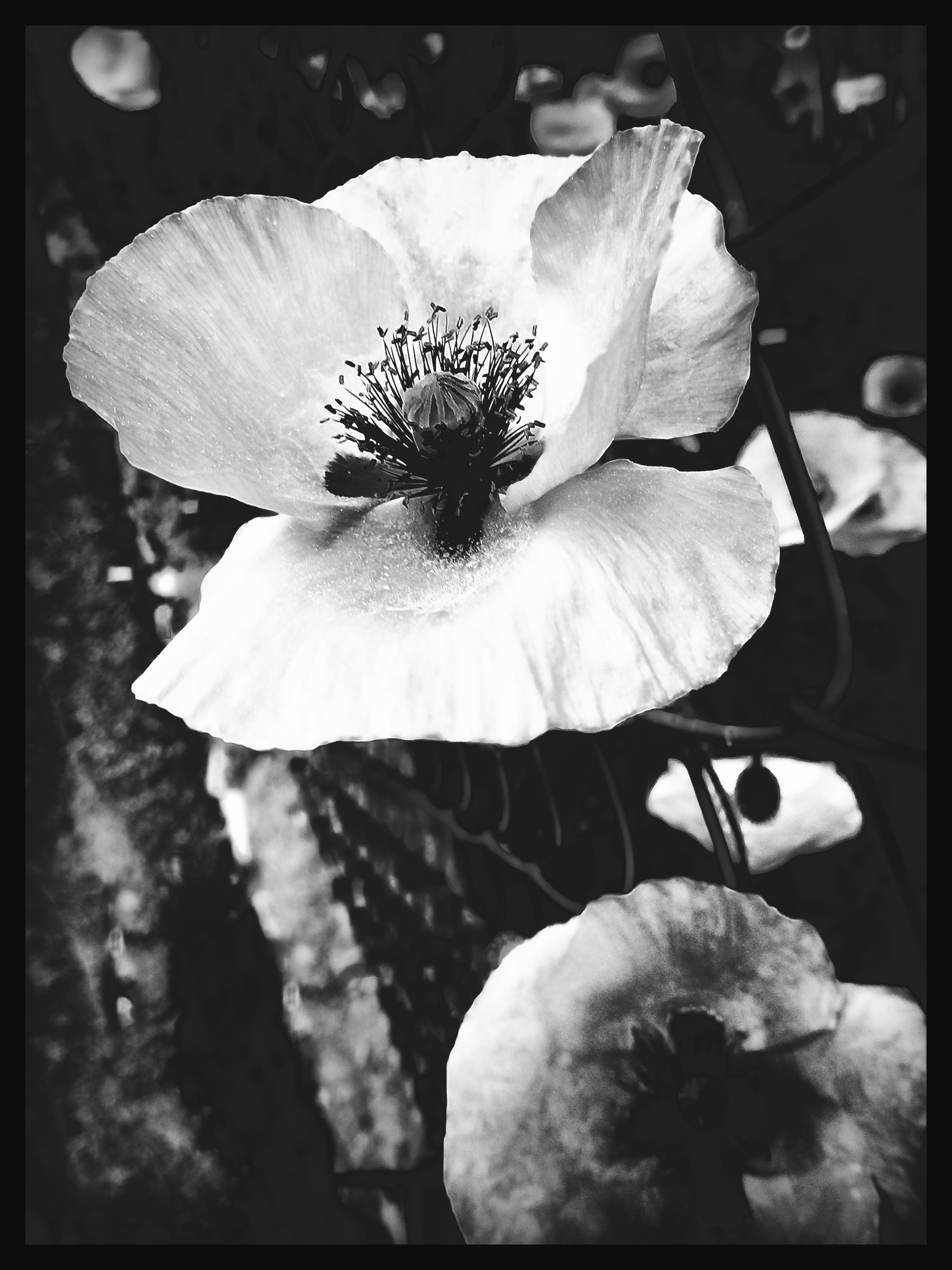 L'abito non fa il monaco