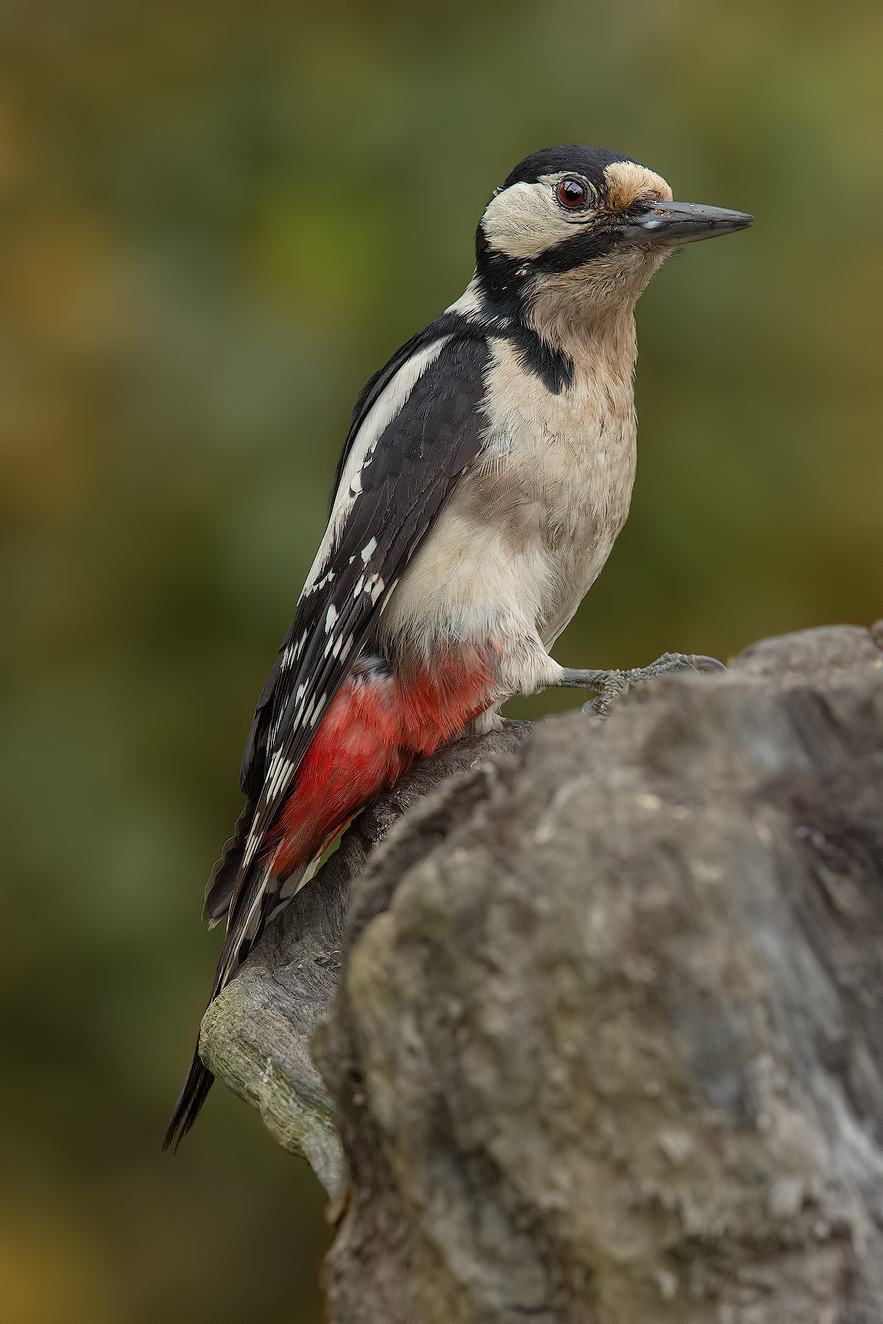 ... And here it is again .. !!! :-)