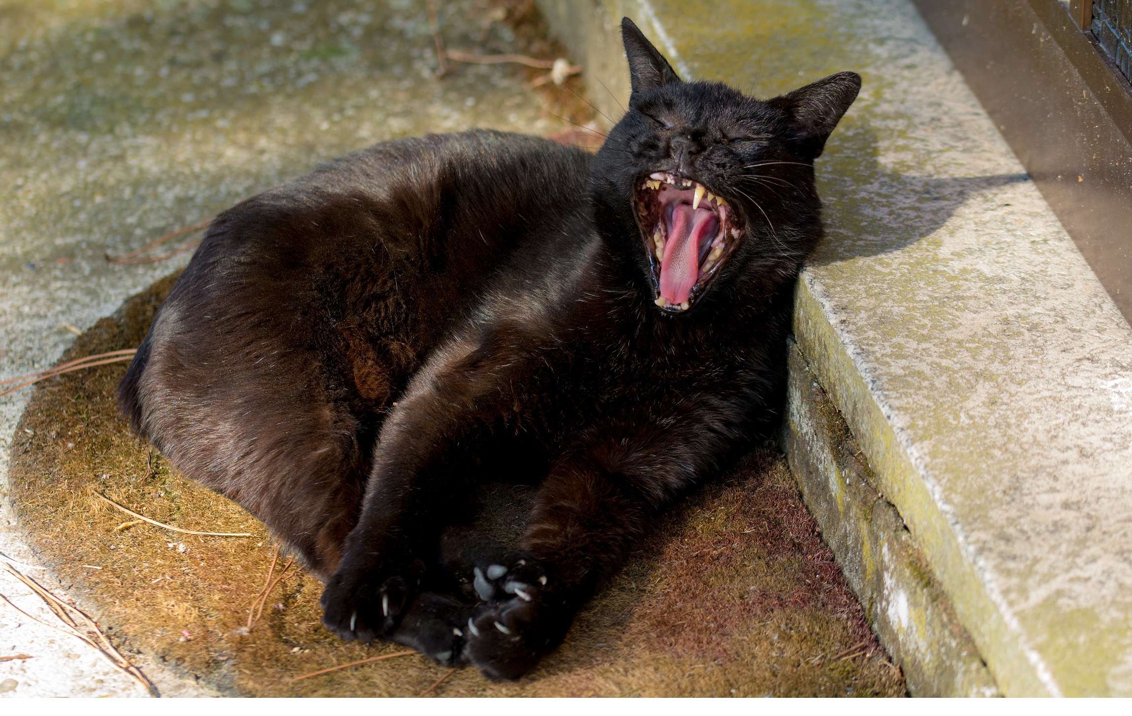 How boring !!!!!!!!!!!!!!!