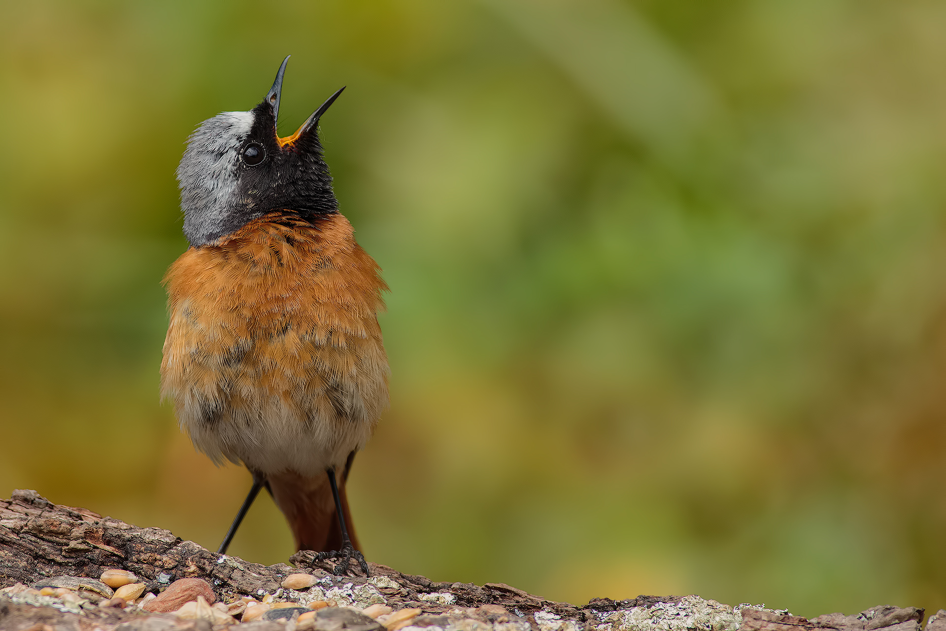 I'm warning you ... !!!