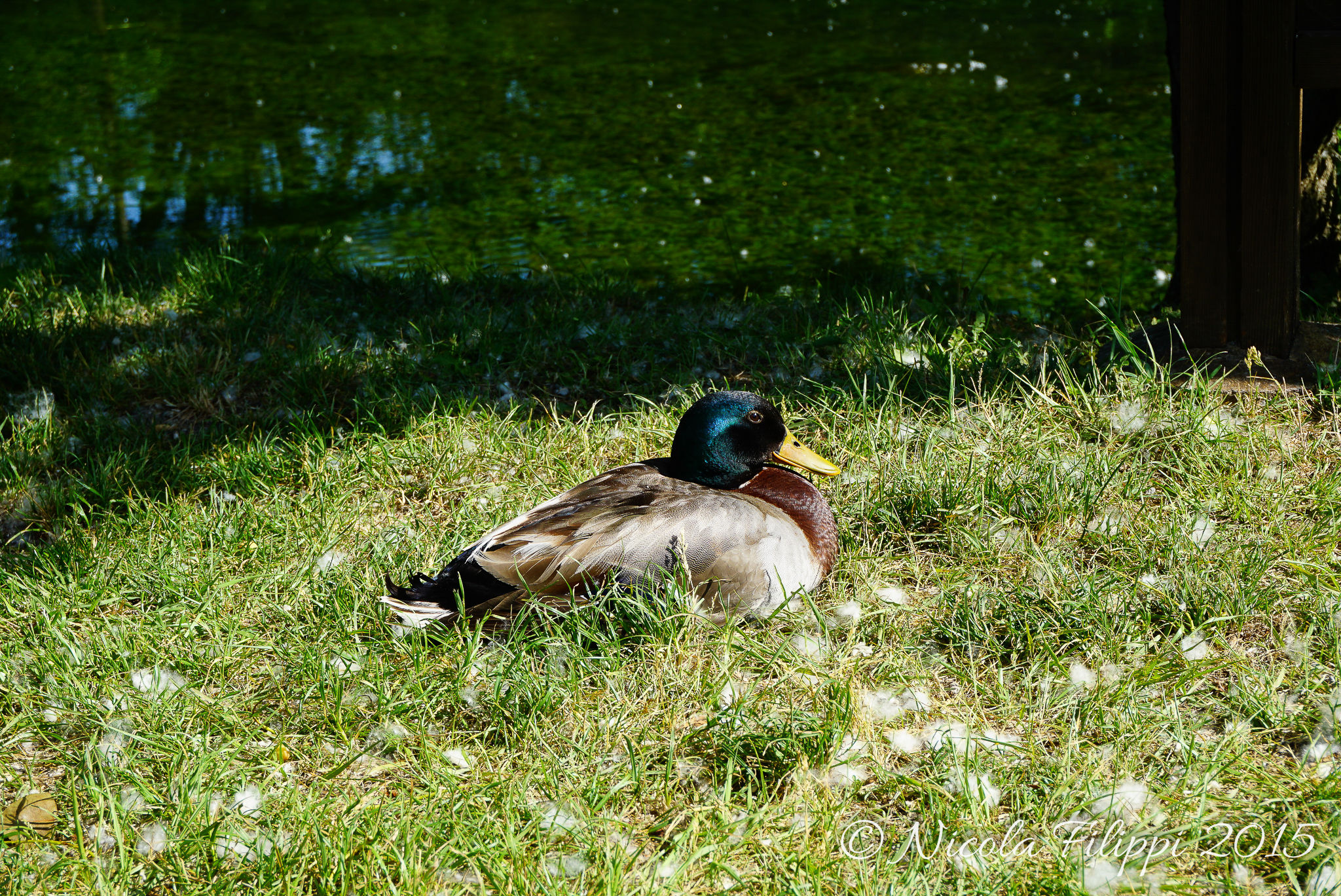 Relax over ... came the visitors!