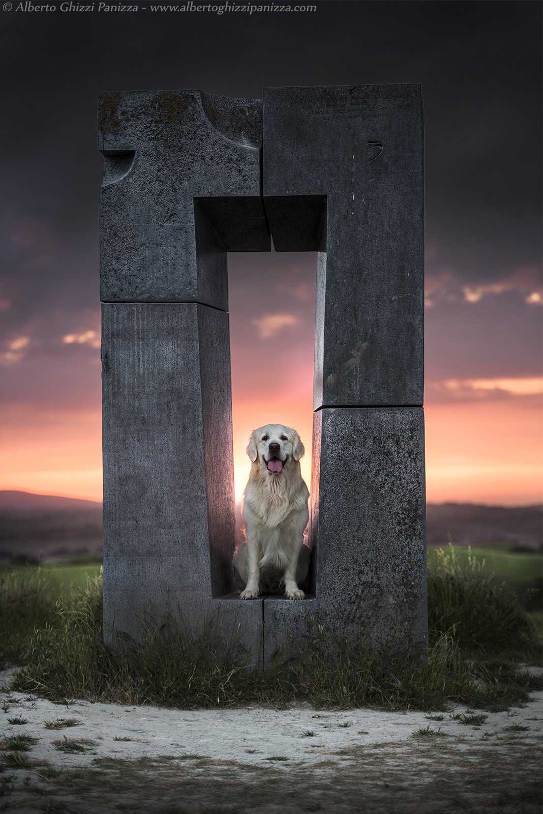 Monument Dog