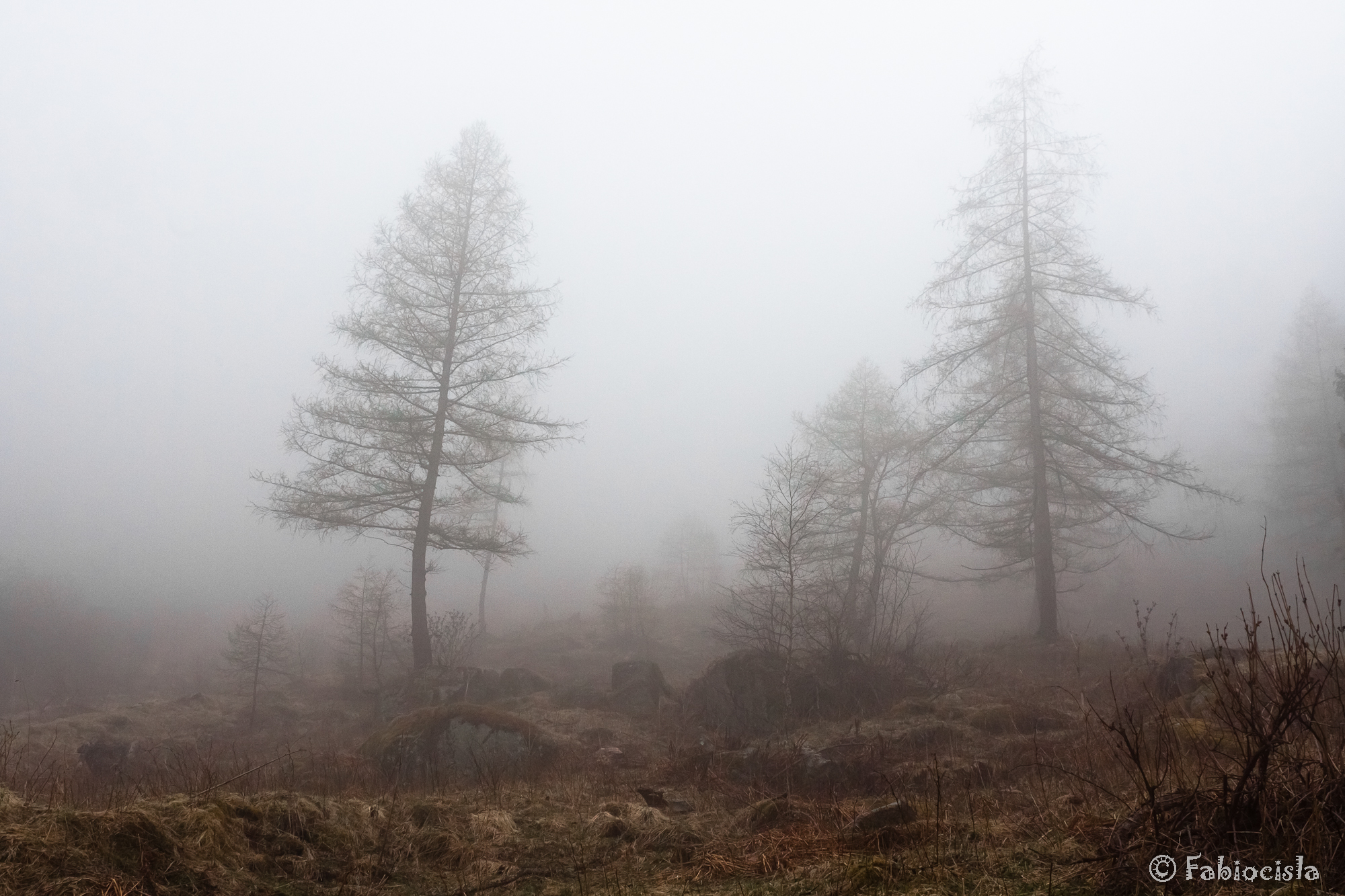 Val di Sole con la nebbia