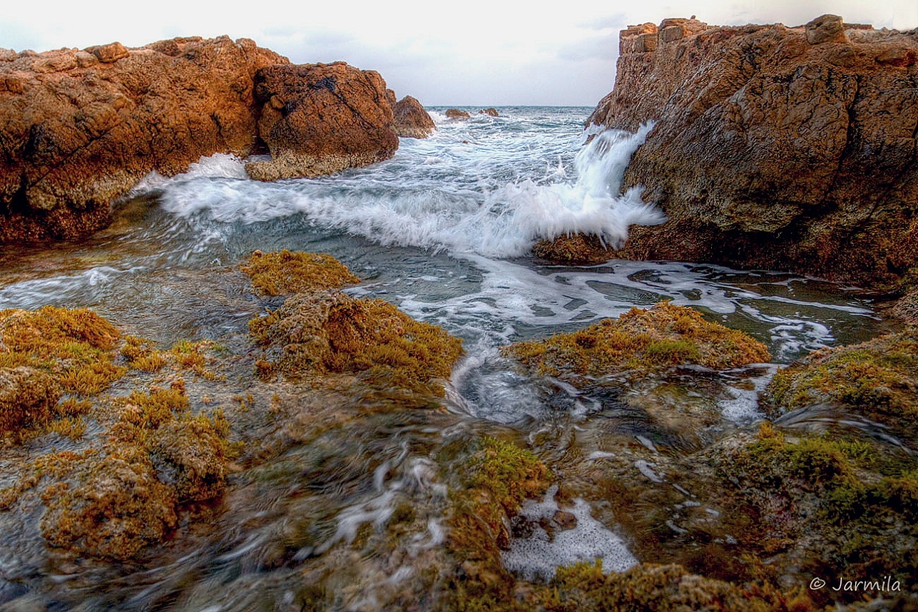 Among the rocks of the Mediterranean Sea