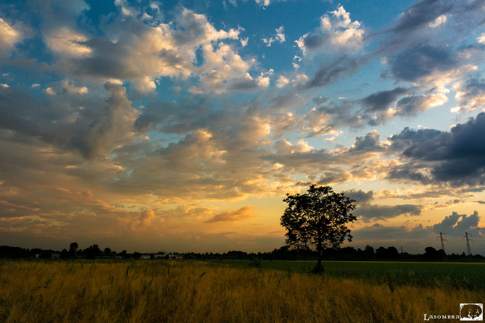 Looking out my back door