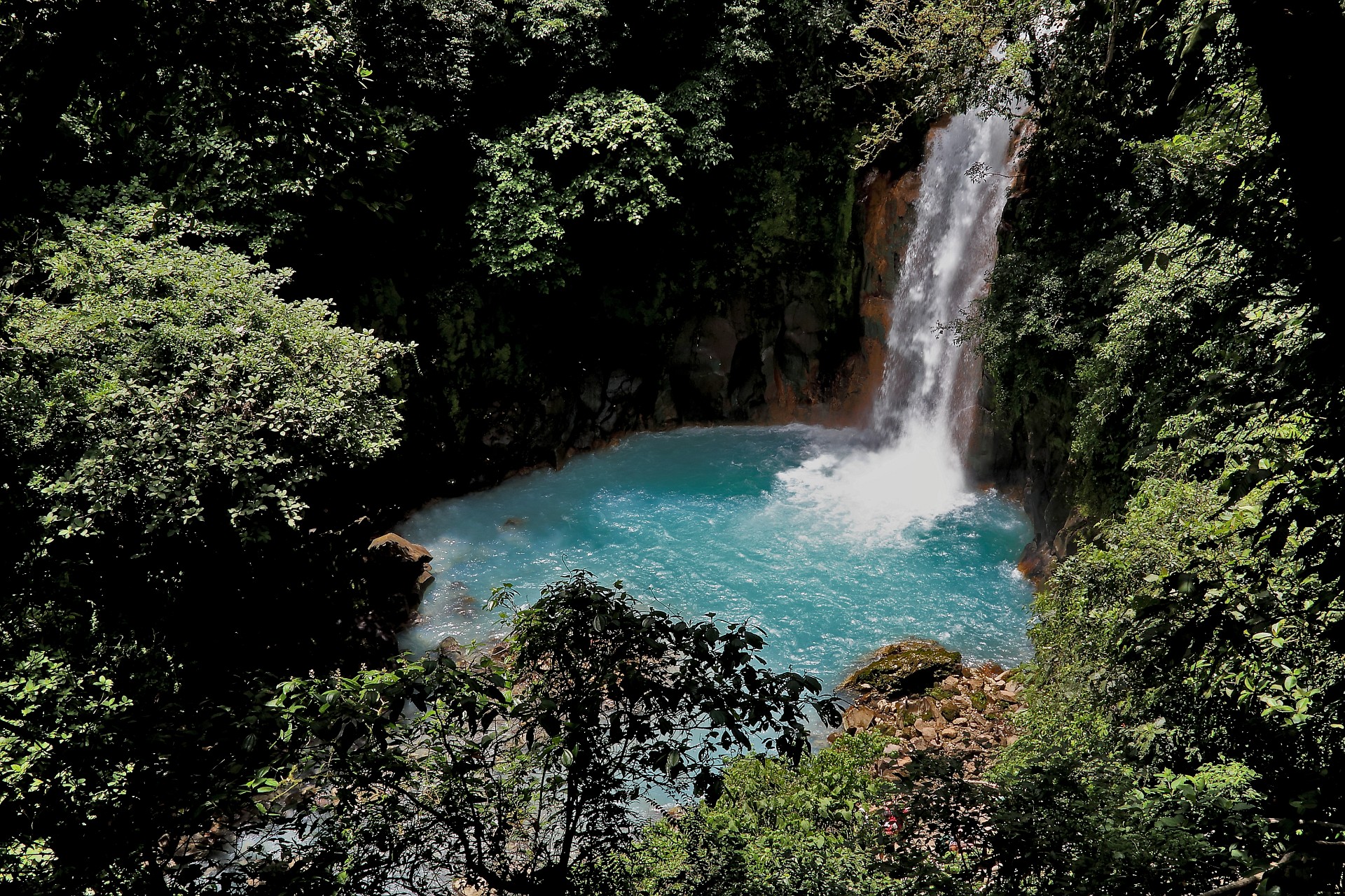 nella foresta del Costa Rica