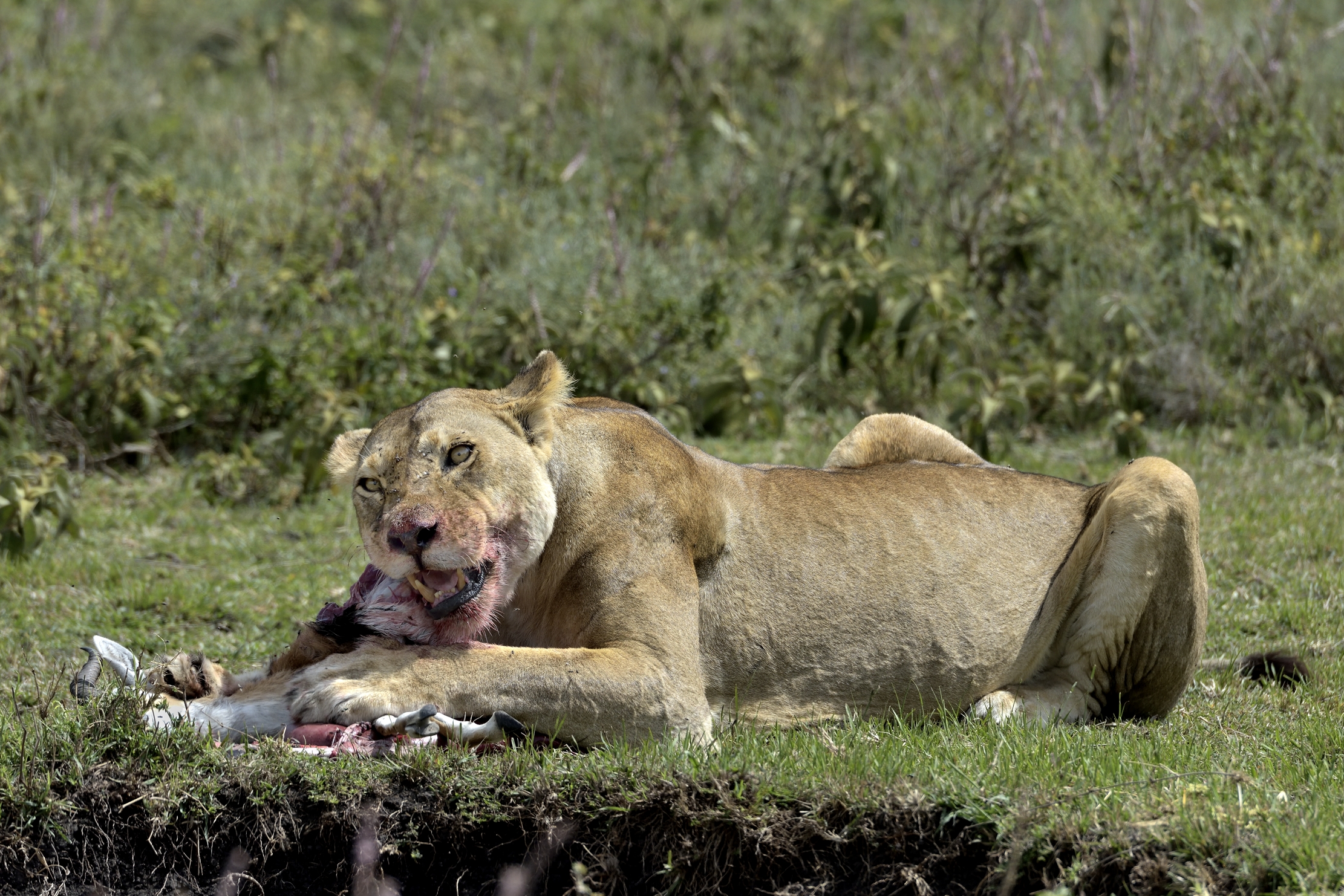 Tanzania 2015 - Colazione