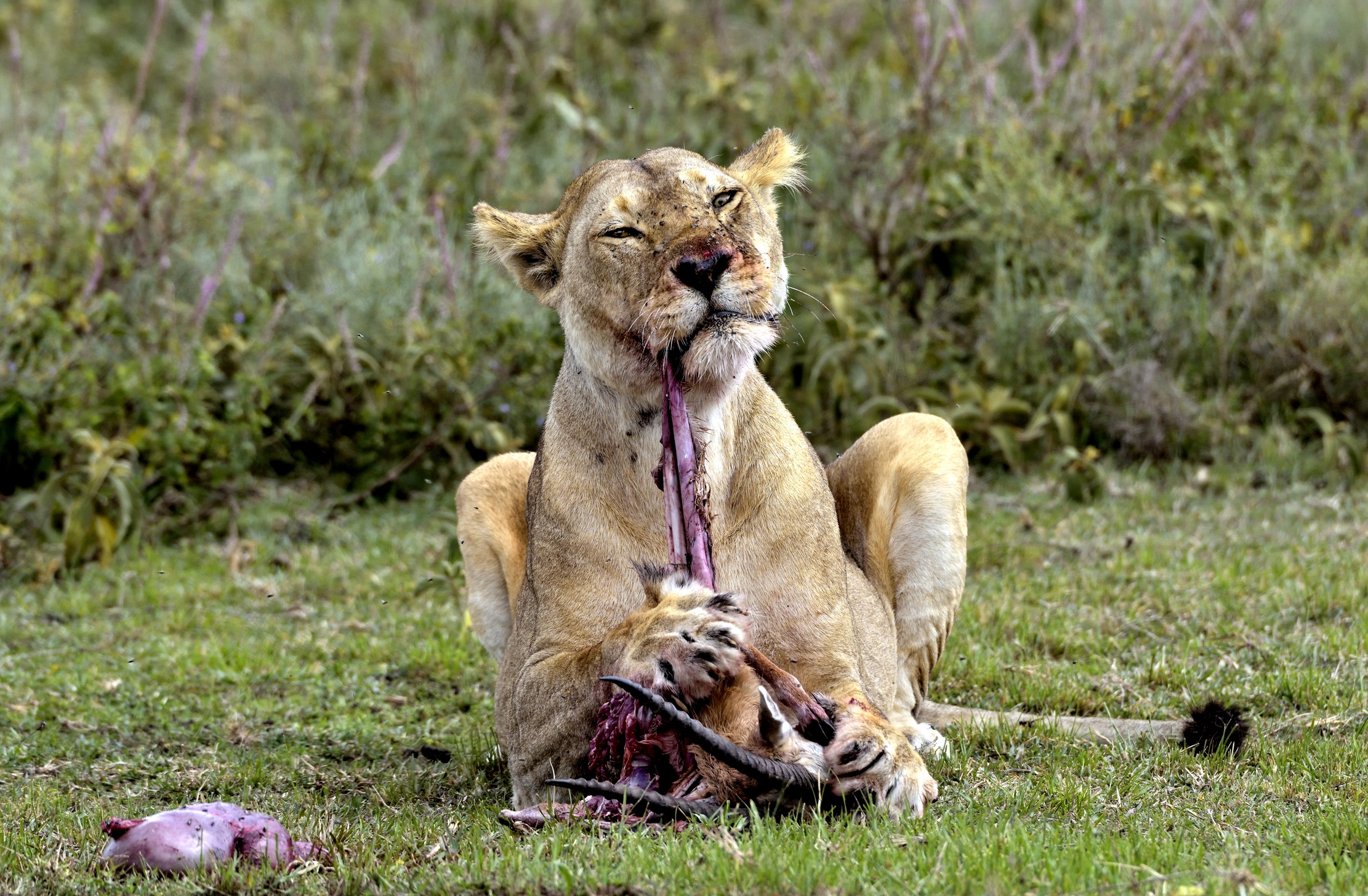 Tanzania 2015 - Colazione