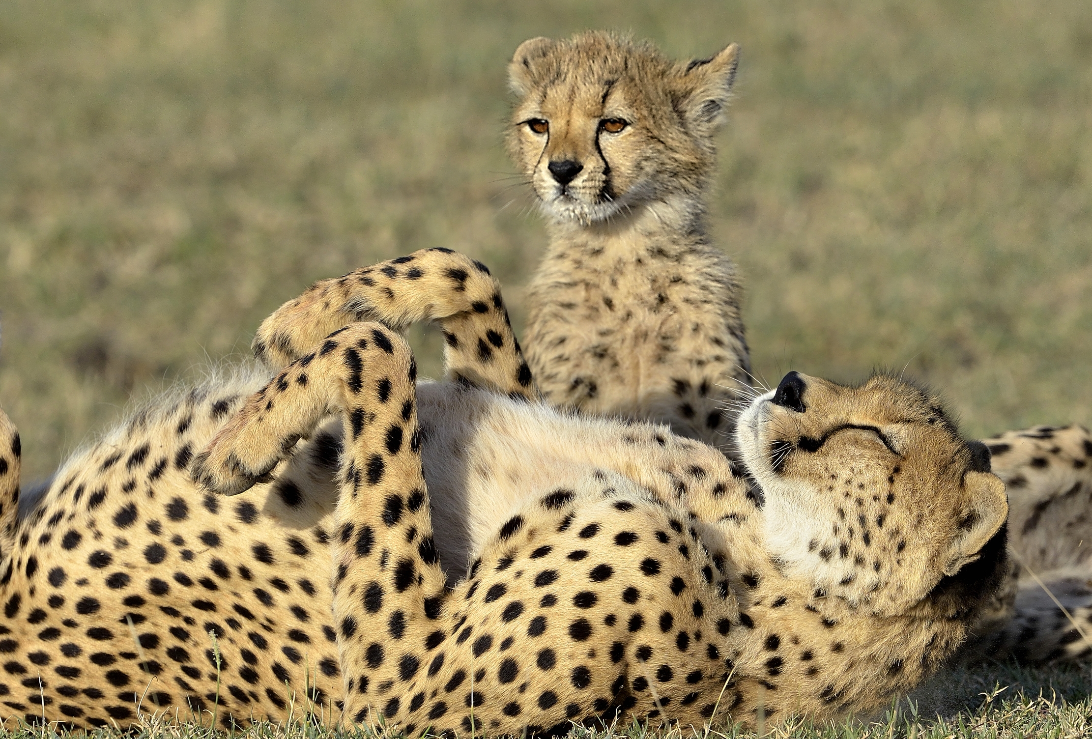 Tanzania 2015 - Al sole