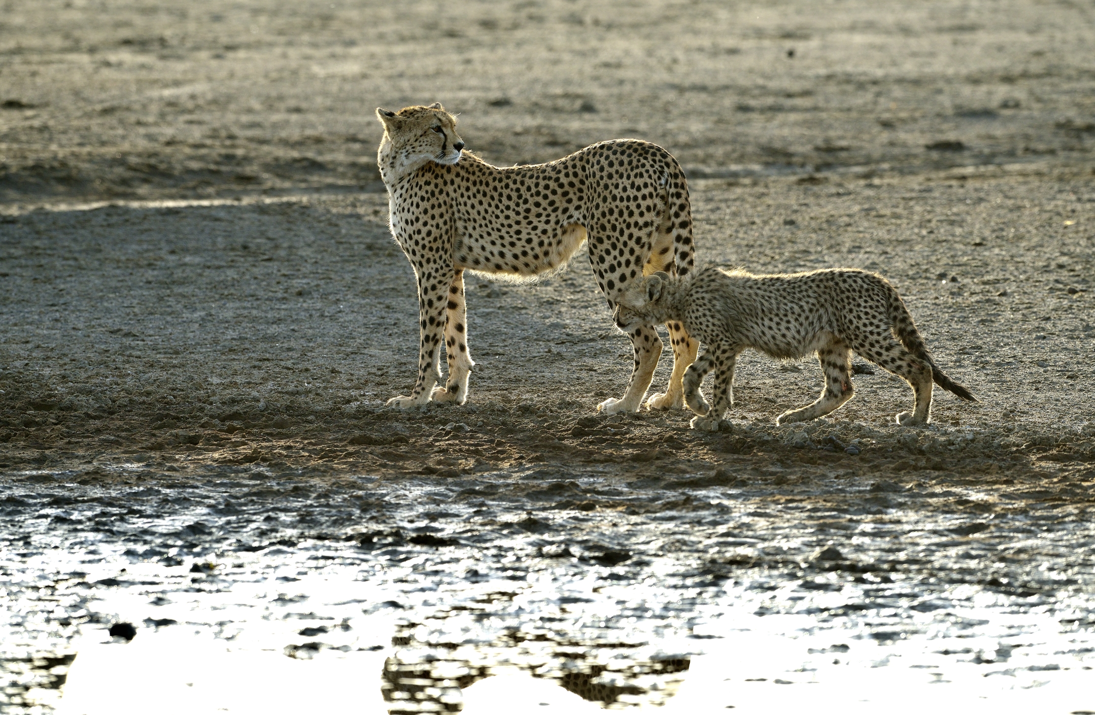 Tanzania 2015 - All'alba