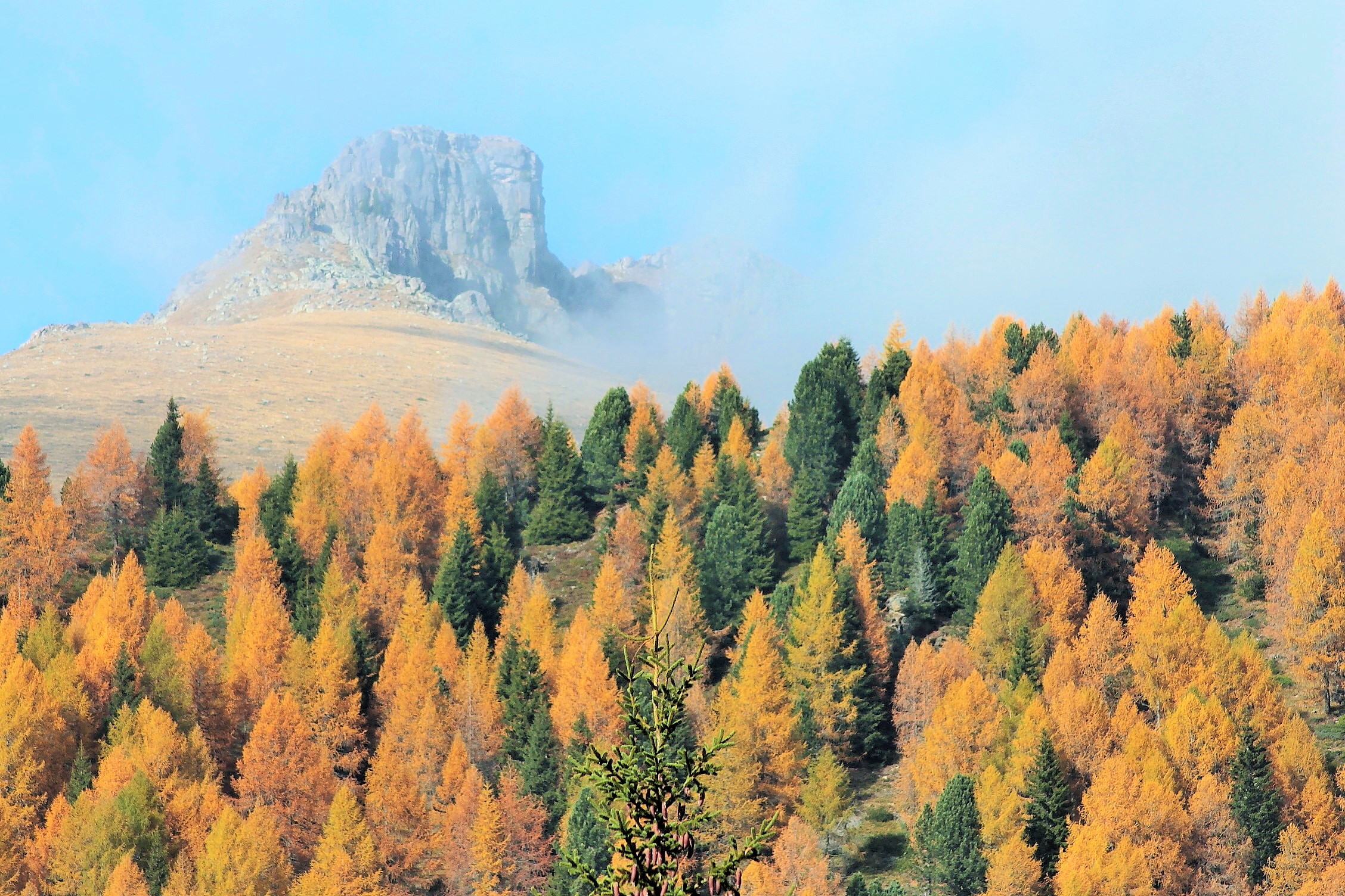 Autumn in the Lagorai