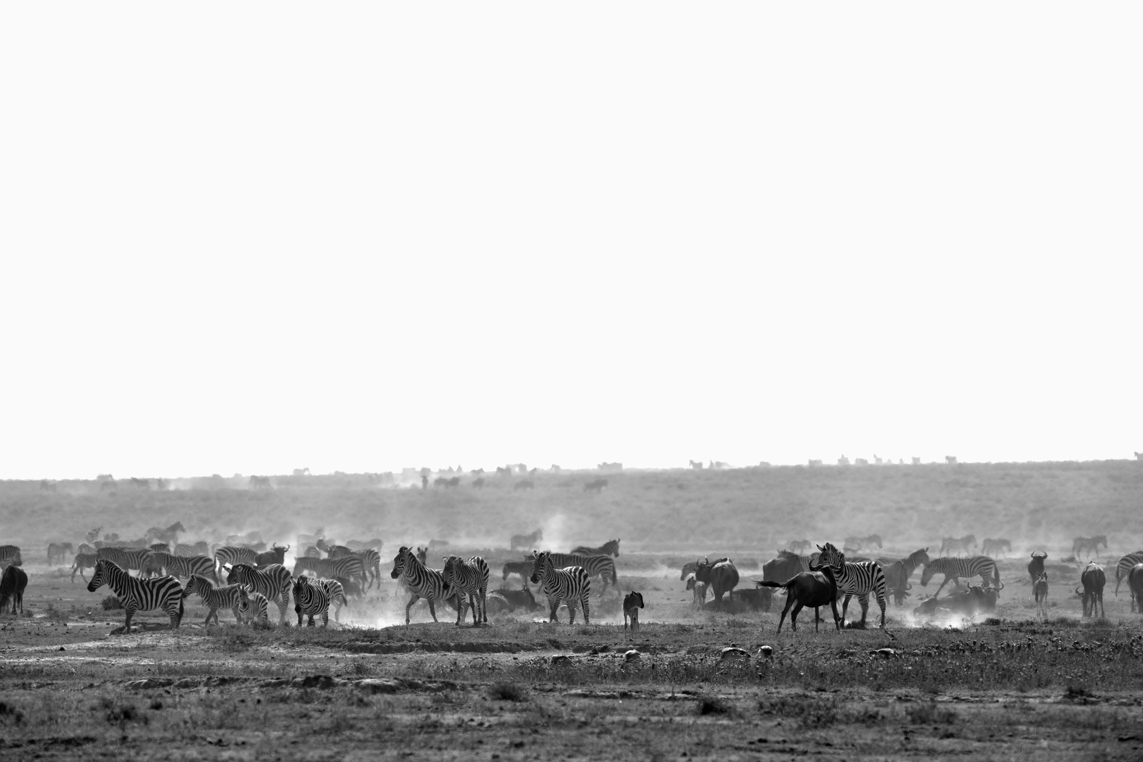 Tanzania 2015 - Migrazione