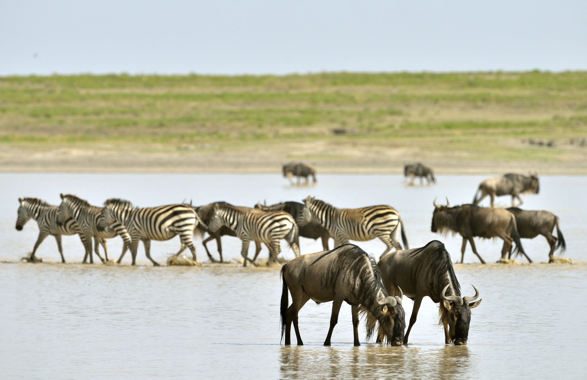 Tanzania 2015 - Migrazione