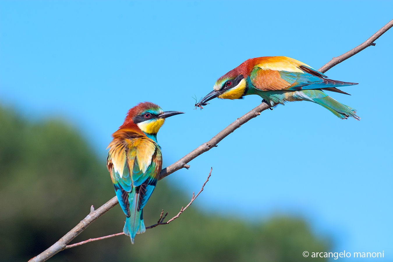 Scusa cara non guardare nel capanno ma il tuo regalo!!!
