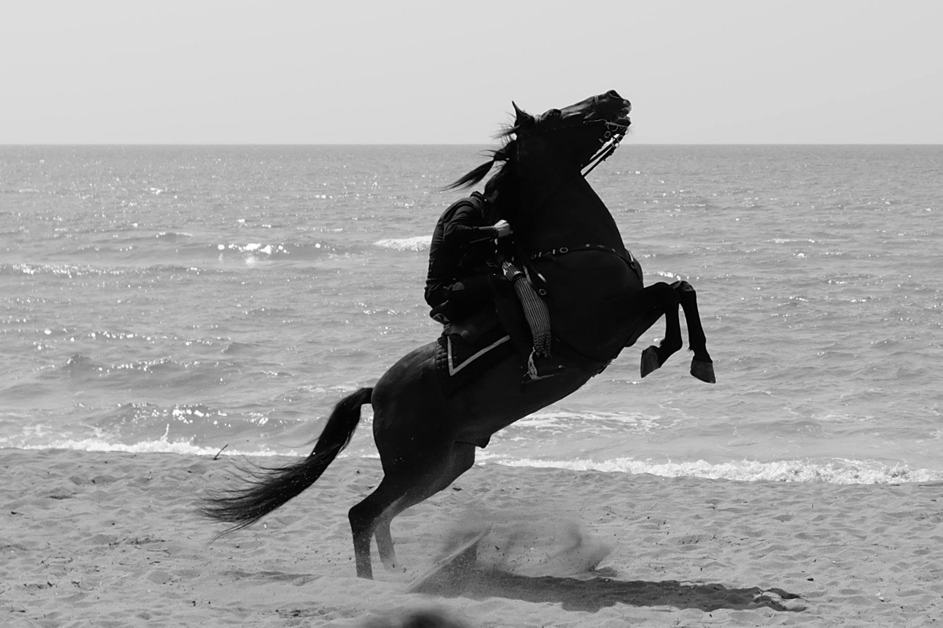 never to upset the horse