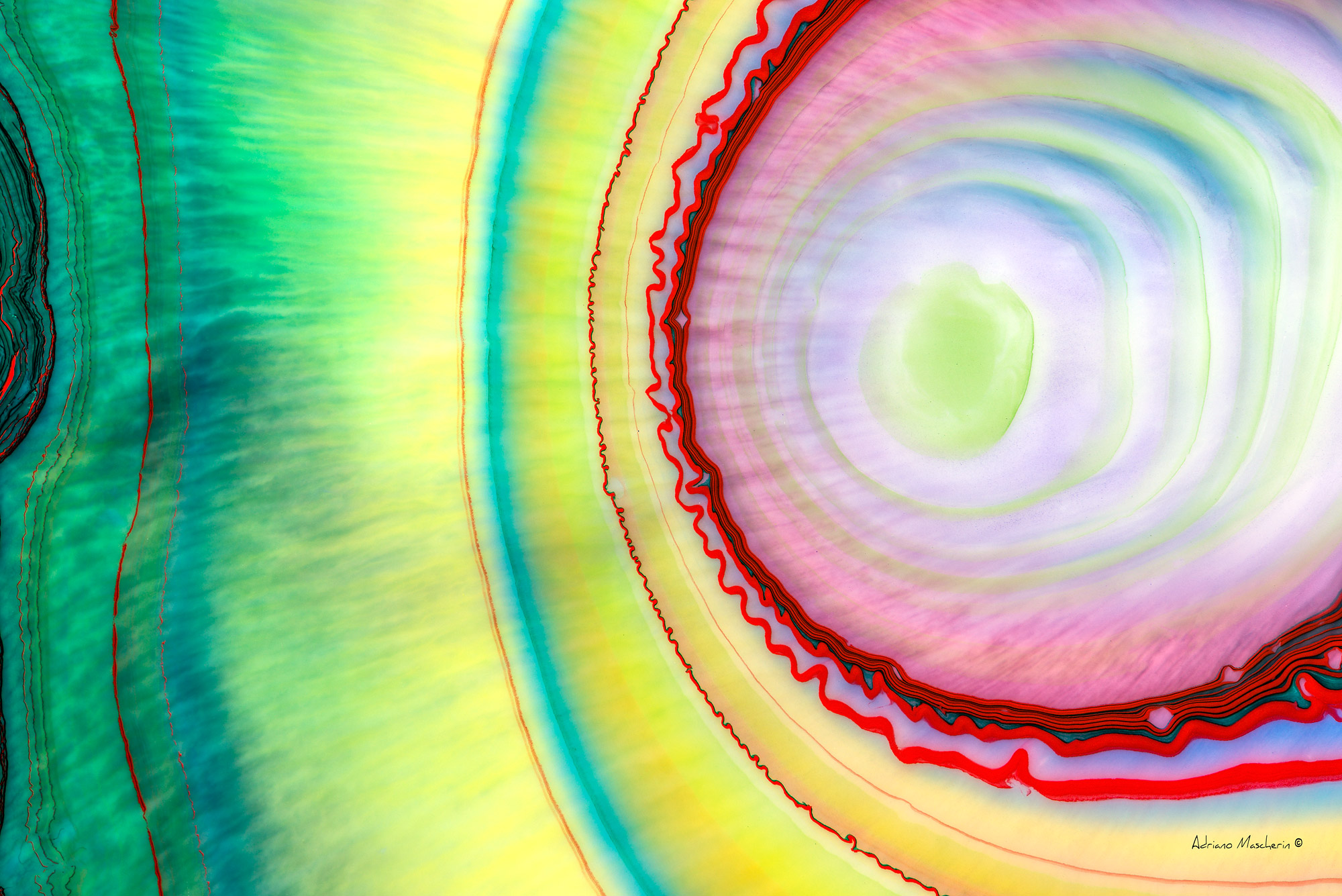 Epicentro della fantasia...