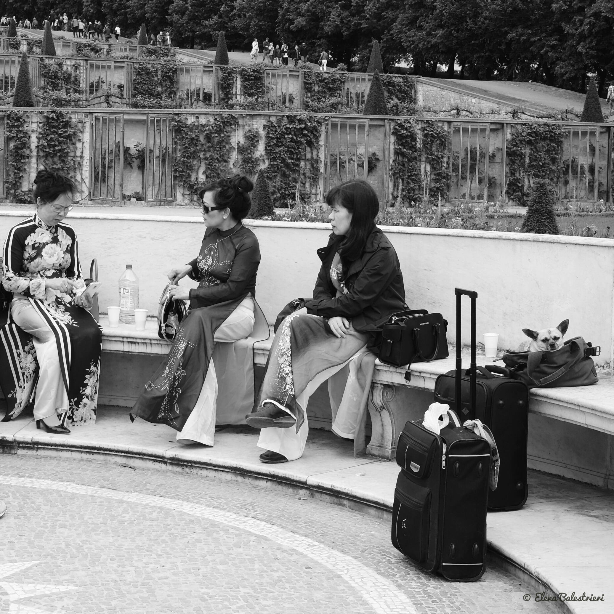 Berlin: street artists with little dog!