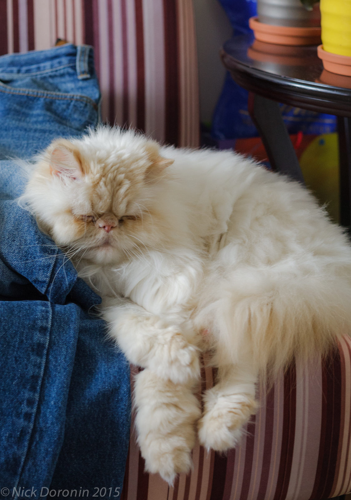 Sentirsi come a casa