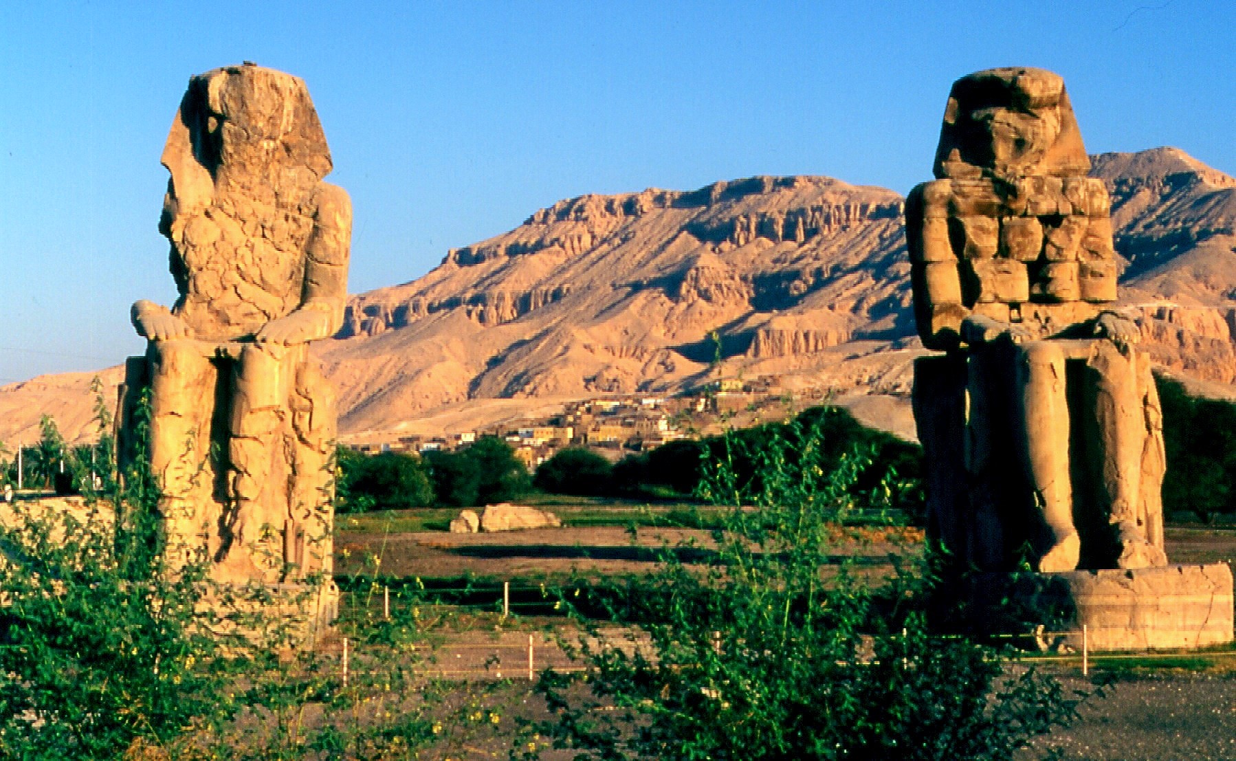 Sentinels Millenarie