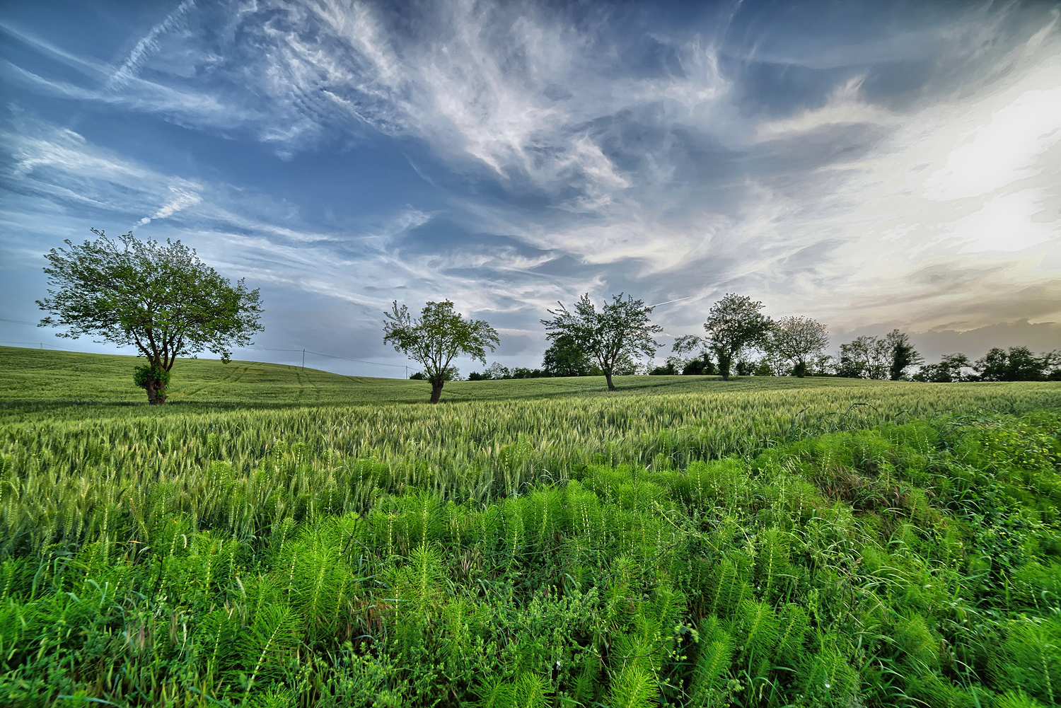 Collina romagnola....