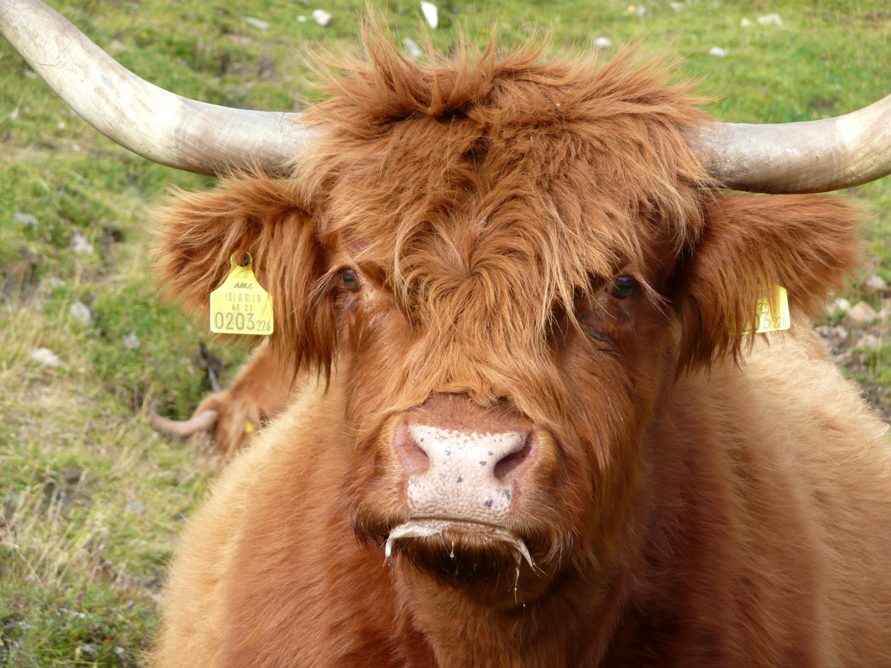 cosa c'è da guardare....