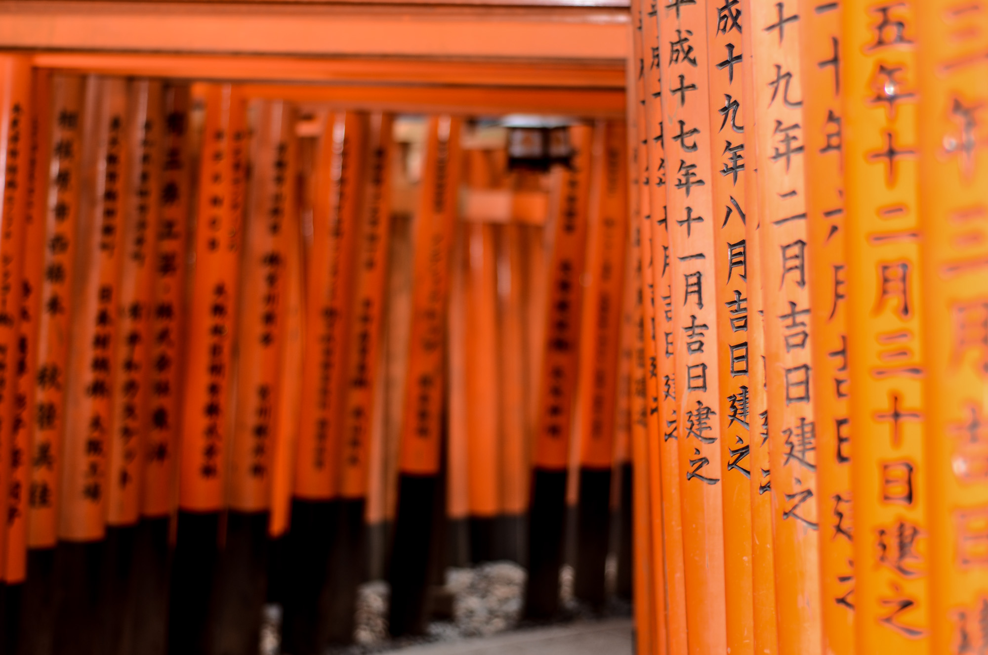 fushimi inari 2