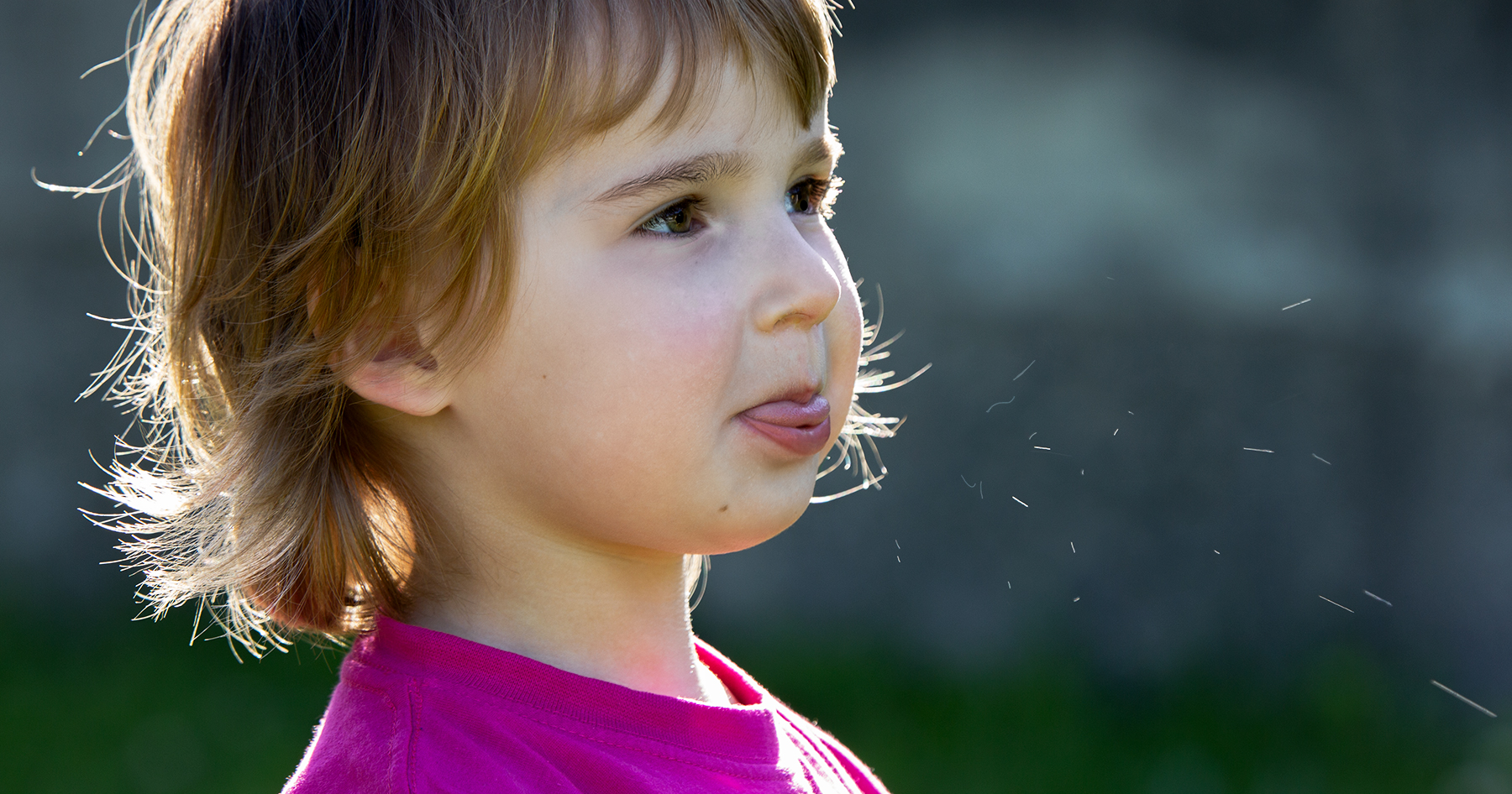 Prrrrrrrrrrrrrrr!!!!