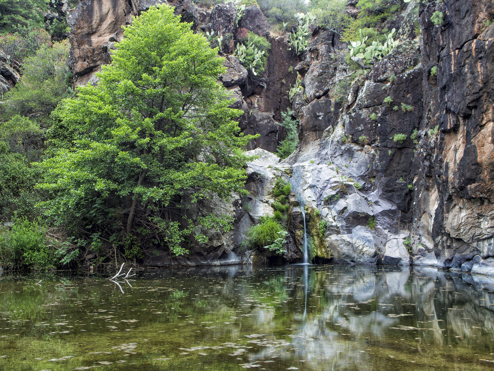 Dorgali, canyon di Caddaris.