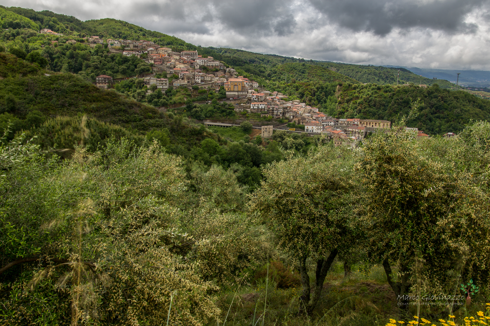 a summer that does not arrive