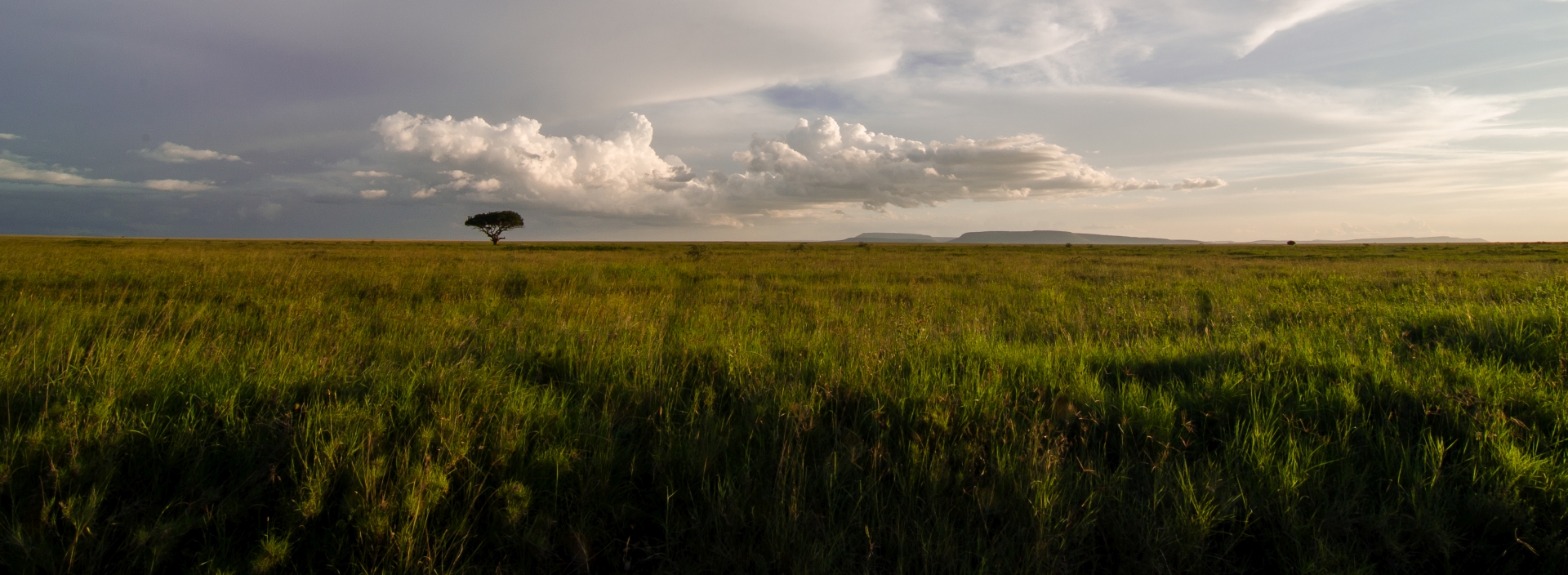 Serengeti National Park
