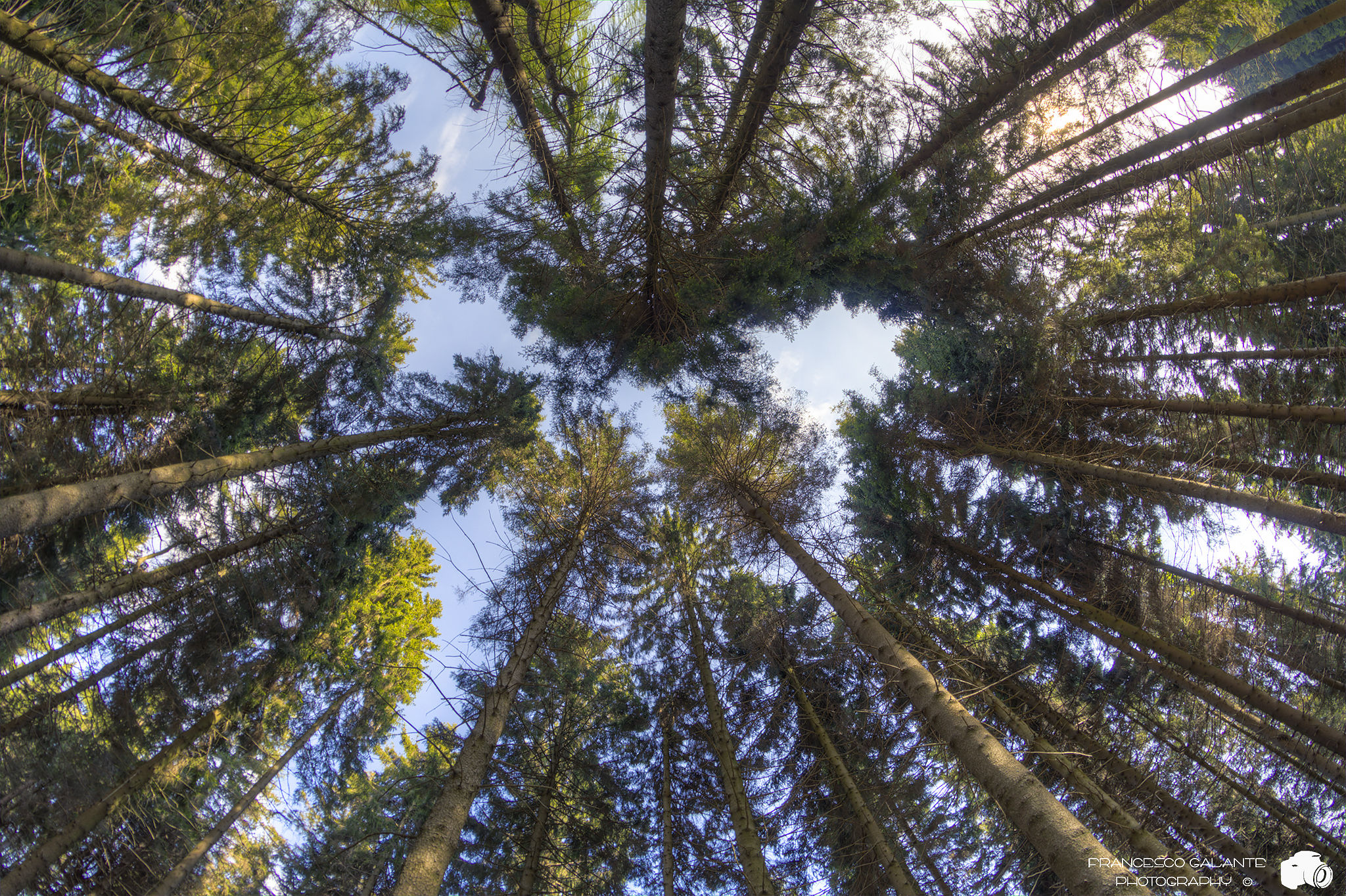 A Different Perspective ...