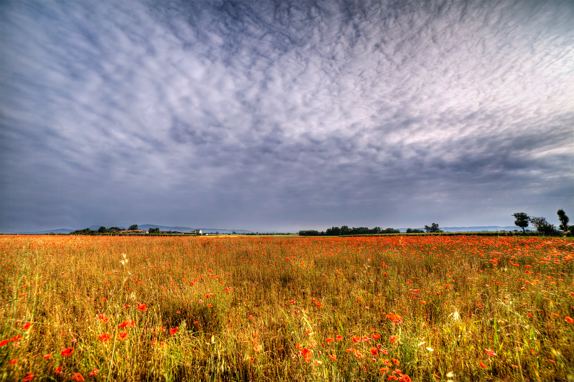 Spring campaign Veronese