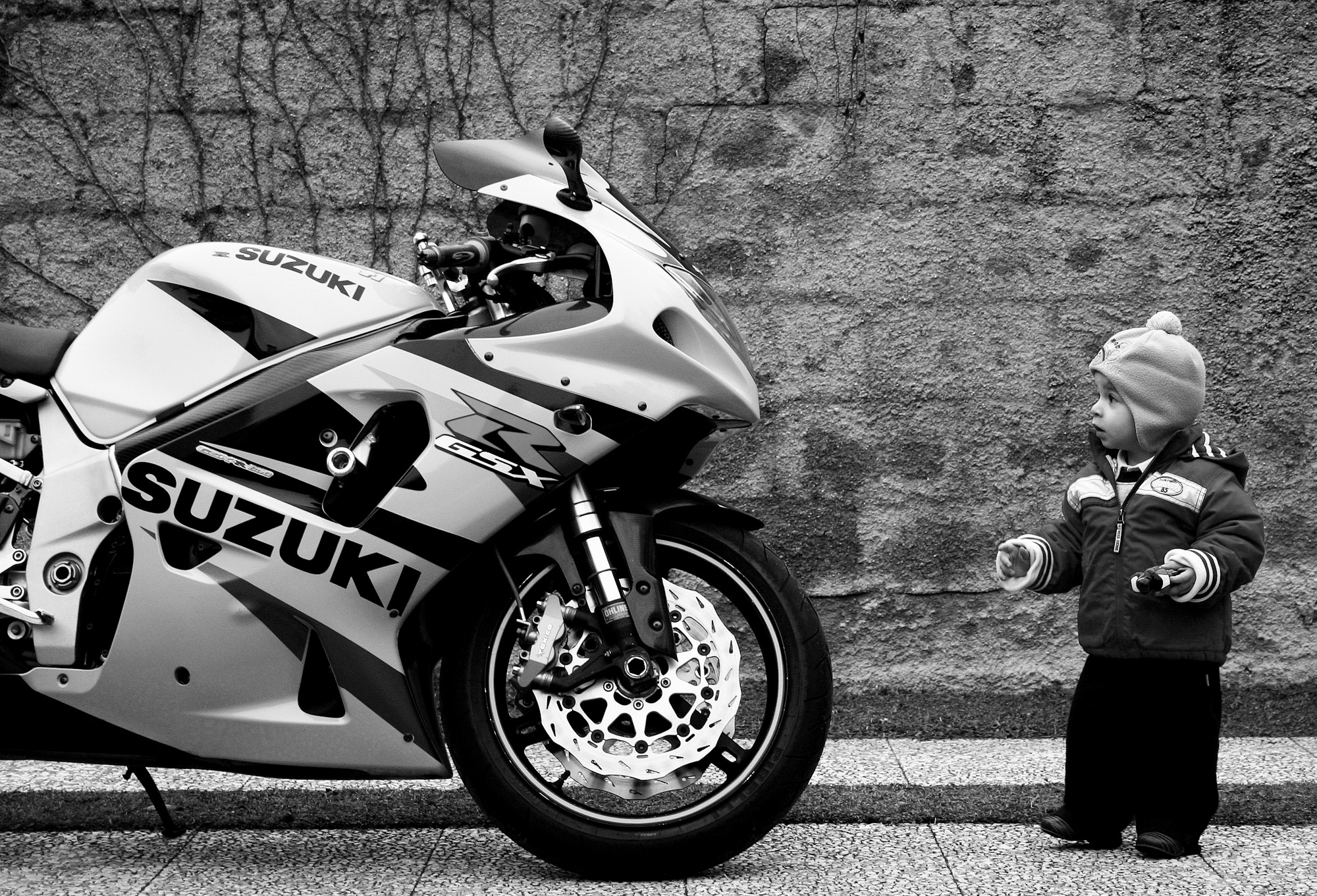 Creazioni e Creature...