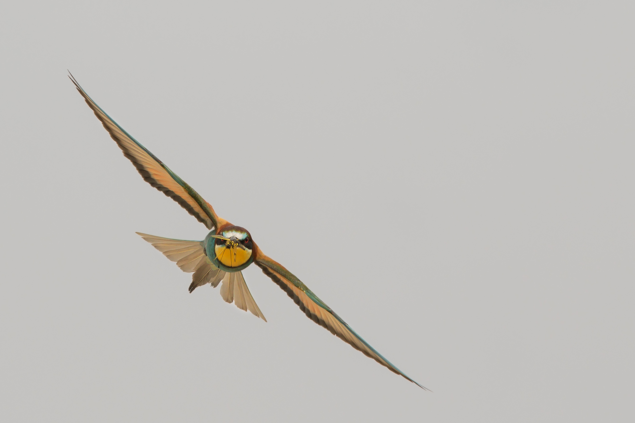 If you do not move within the shed!