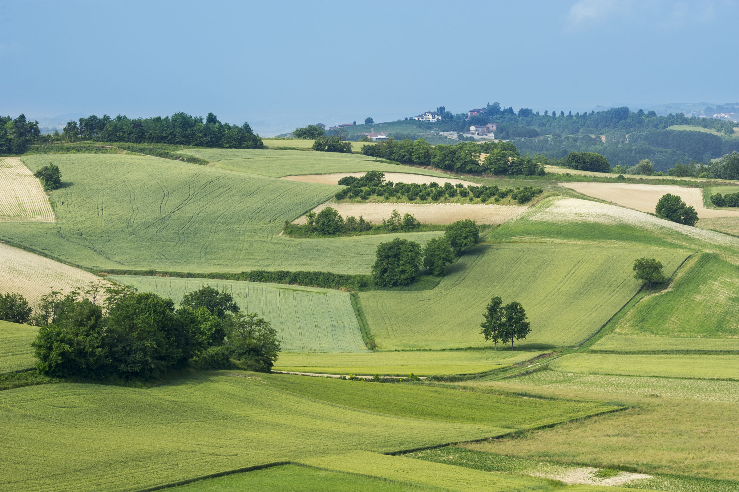 Geometrie irregolari Astigiane