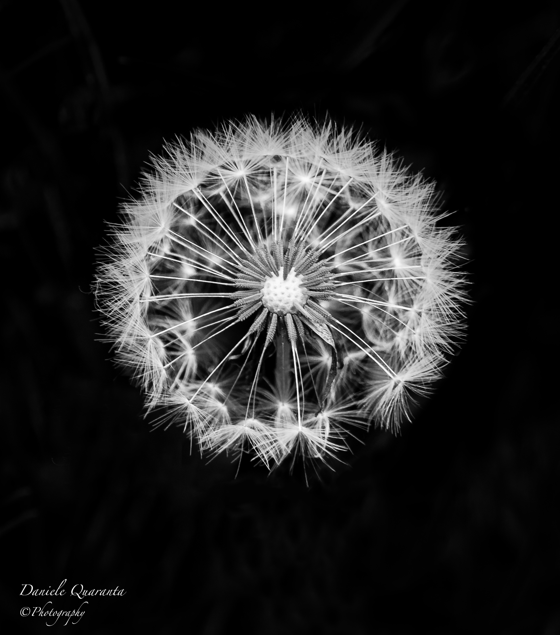 Neurons and Synapses