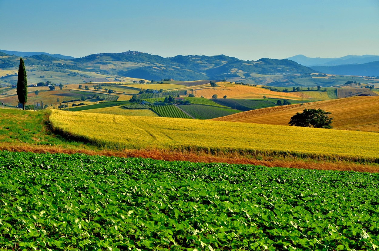 Paesaggio Molisano