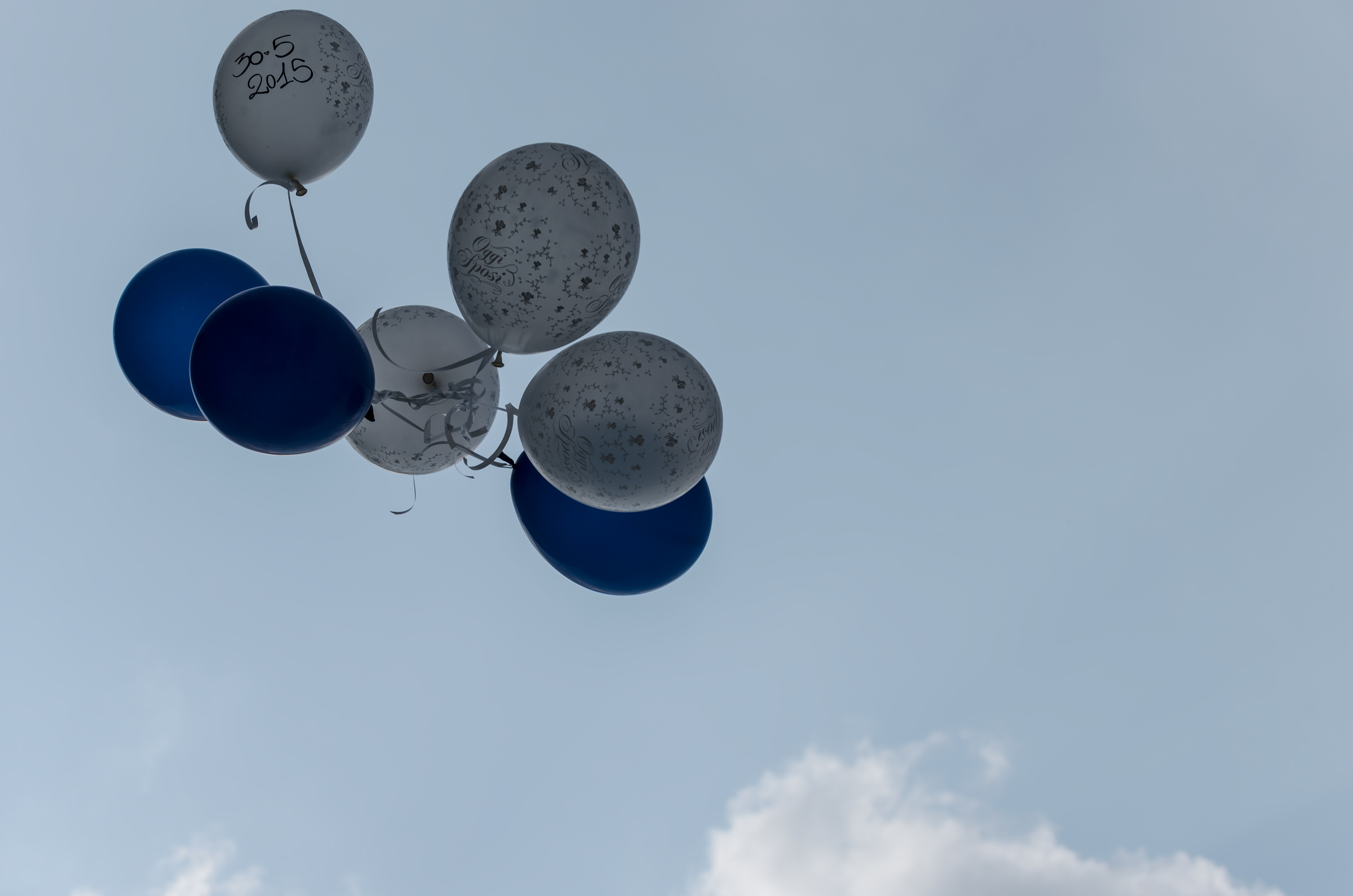 Da oggi insieme - Nel volo della vita..