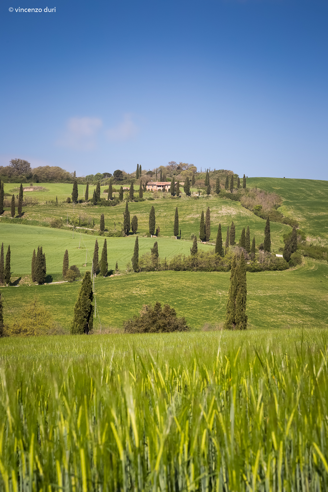The slow lane (La Foce)