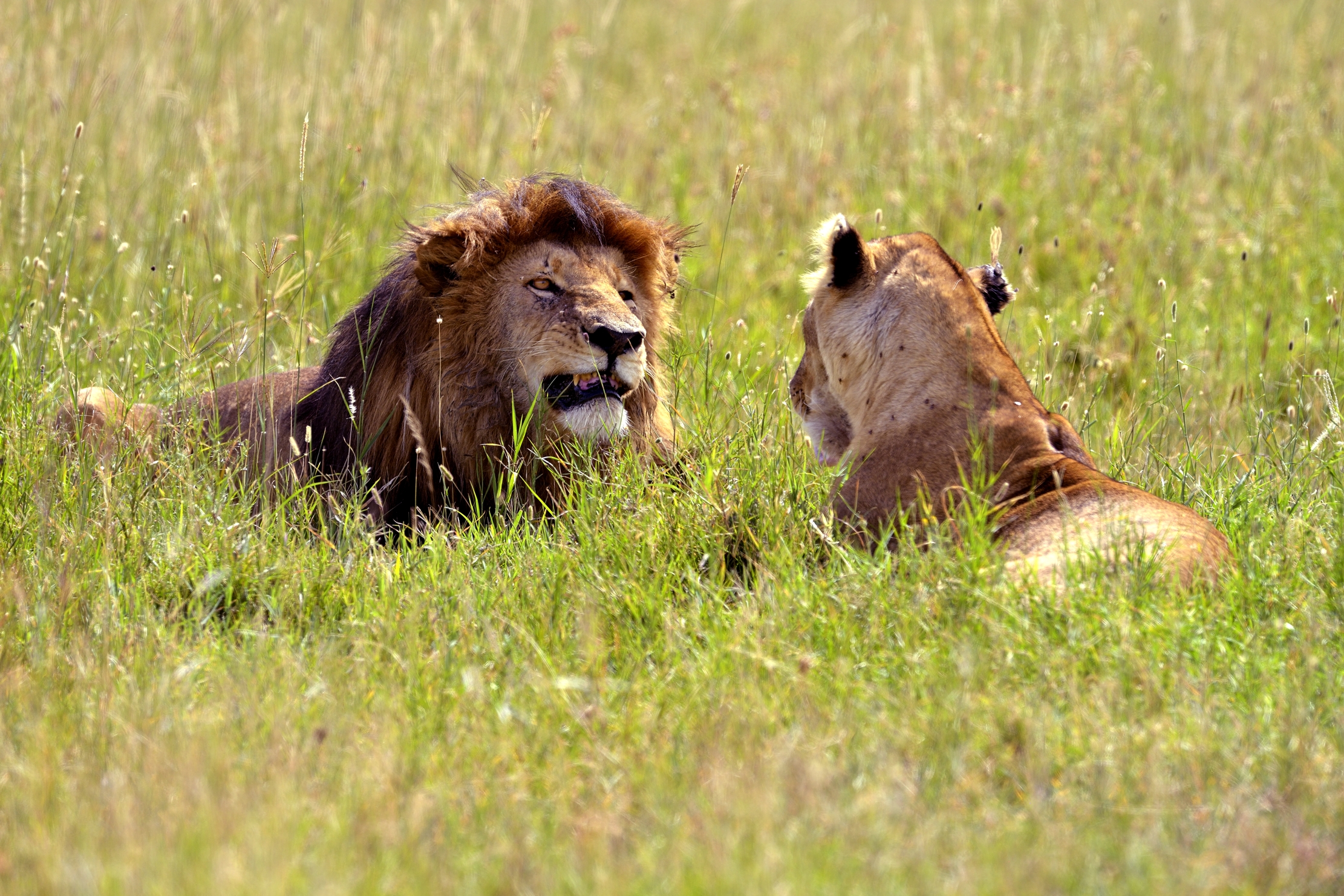 Tanzania 2015 - Questioni familiari