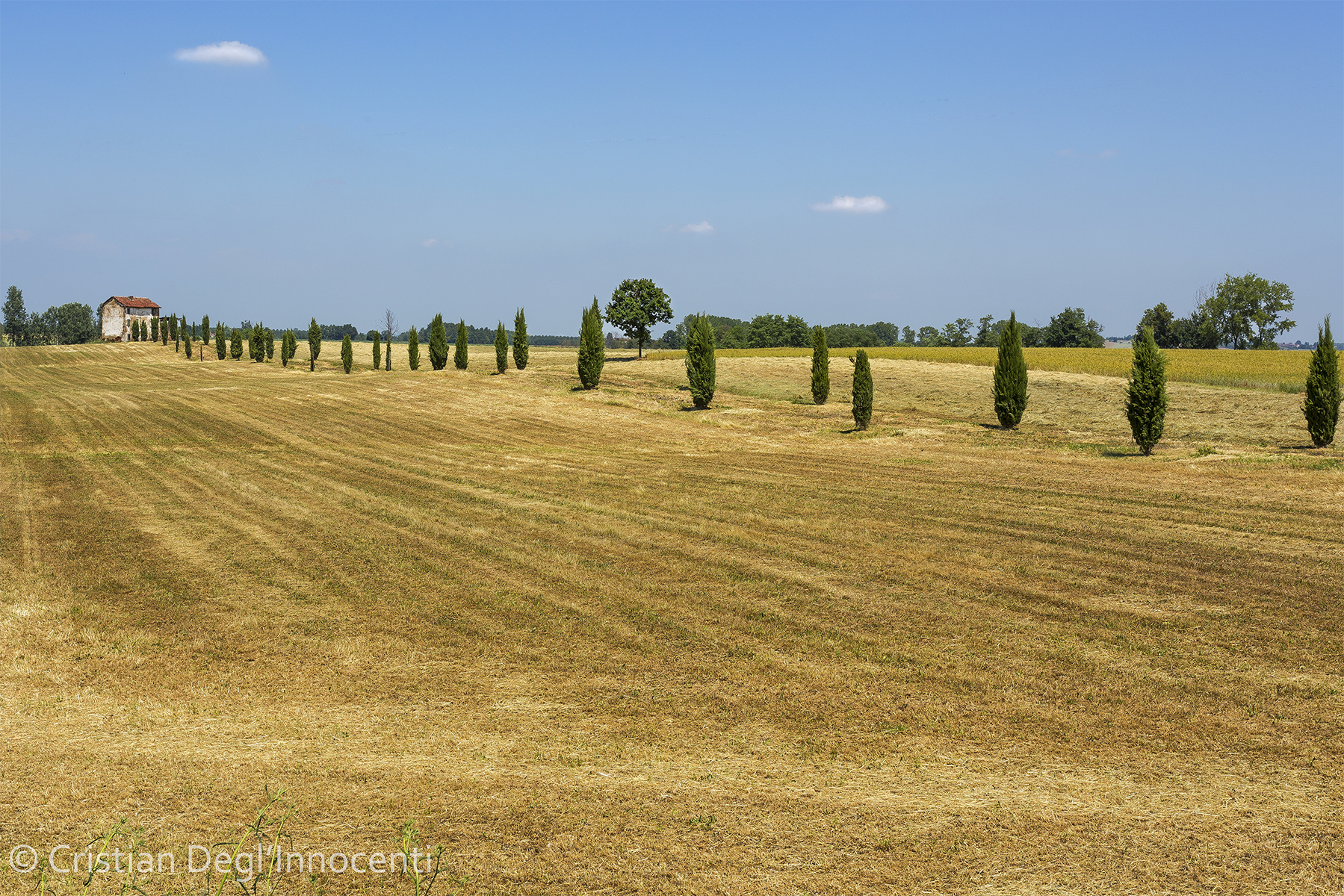 Nature Always Wins - The Nature Always Wins